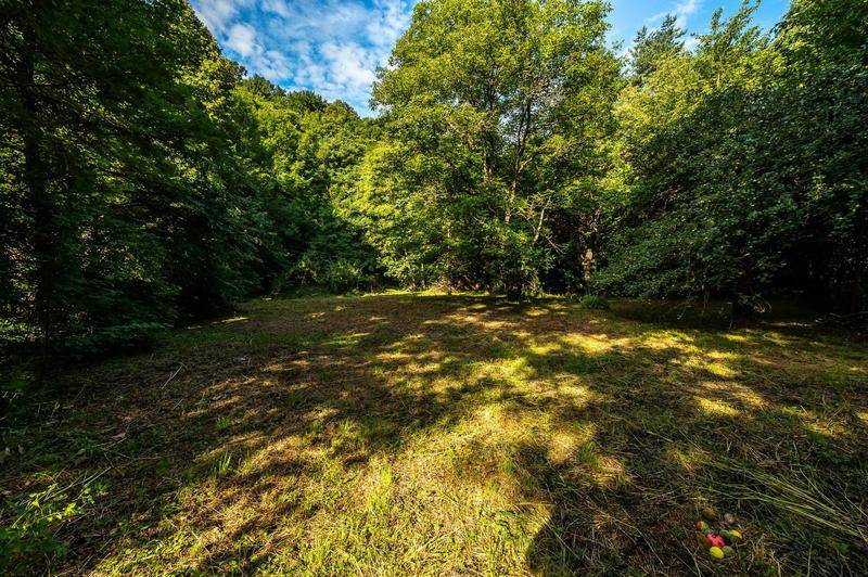 Waldstueck_Sommer_2