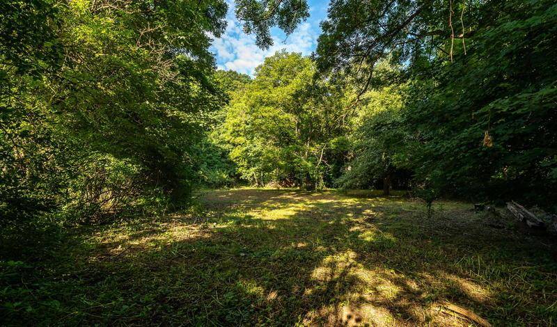 Waldstueck_Sommer