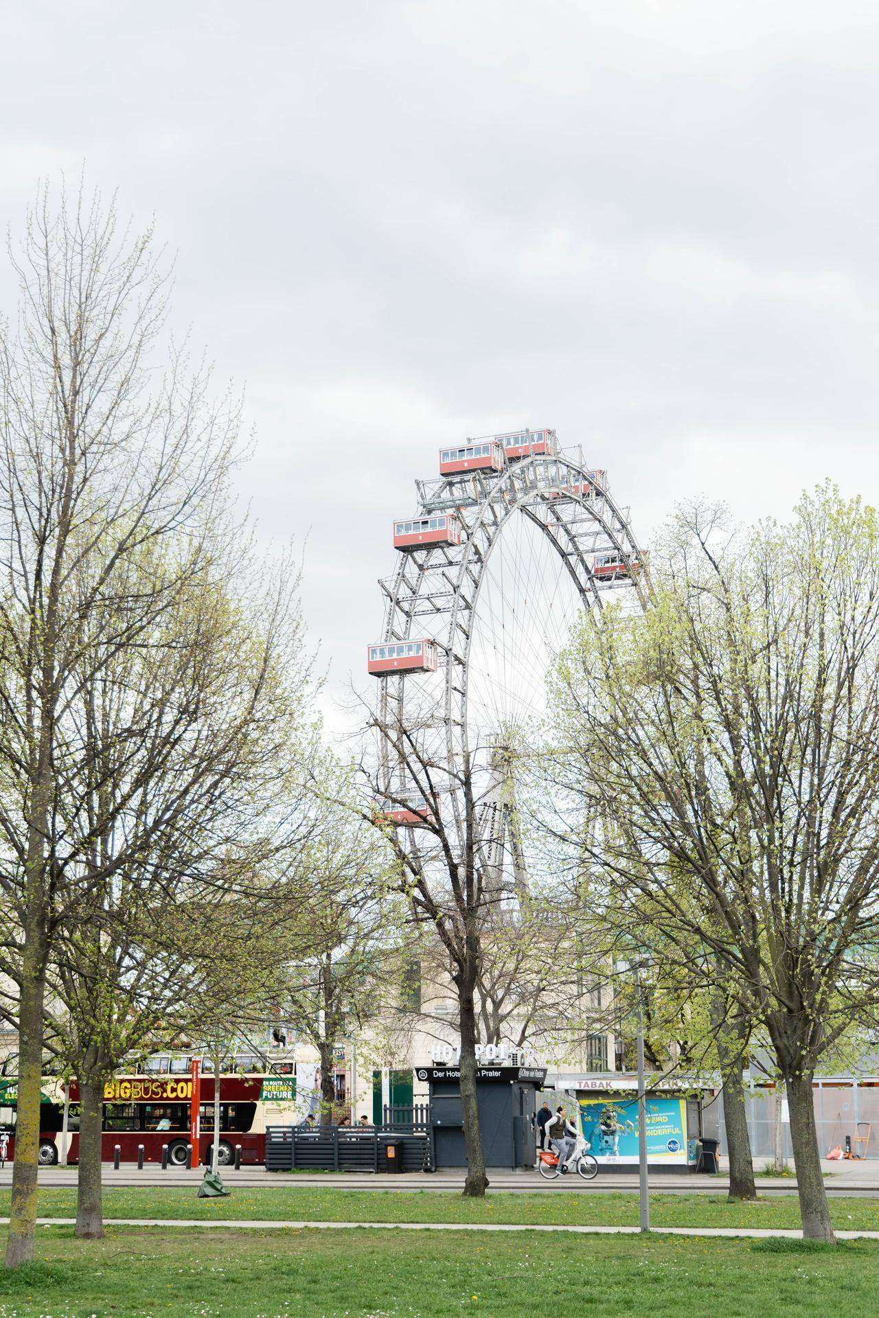 Das Wiener Riesenrad ragt majestätisch über die Baumwipfel, ein ikonisches Wahrzeichen der Stadt.