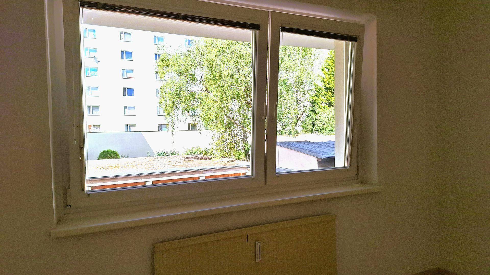 Fenster mit Blick auf grüne Bäume und umliegende Gebäude, das viel Tageslicht hereinlässt.