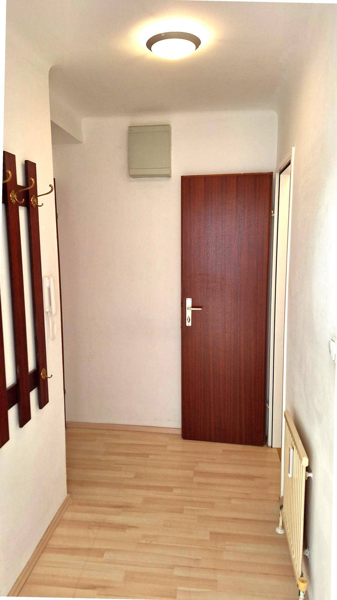 Heller Flur mit Holzparkett, weiß gestrichenen Wänden und einer dunklen Holztür.