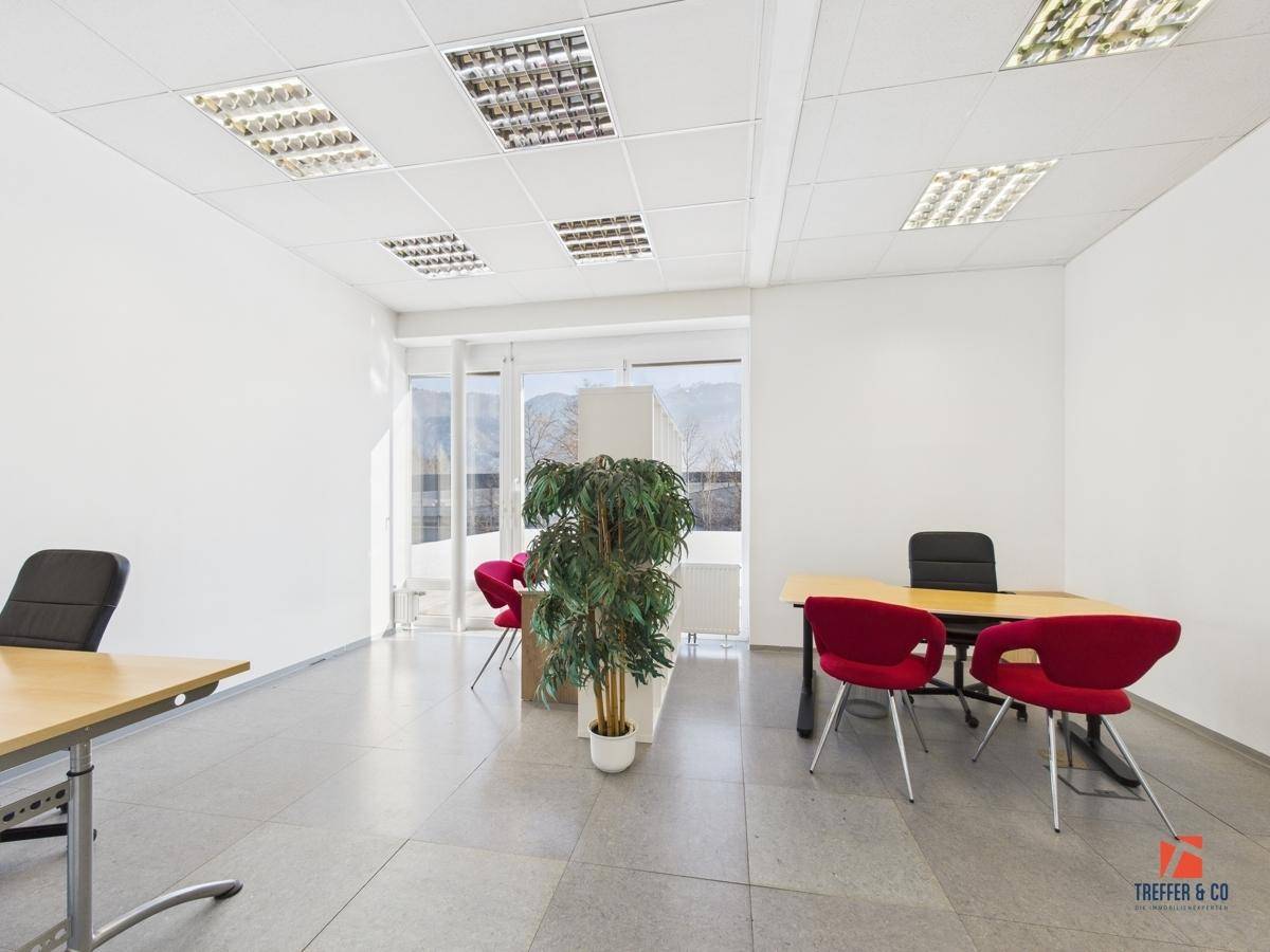Geräumiges Büro mit Schreibtisch, roten Stühlen und einer großen Pflanze, ideal für produktives Arbeiten.