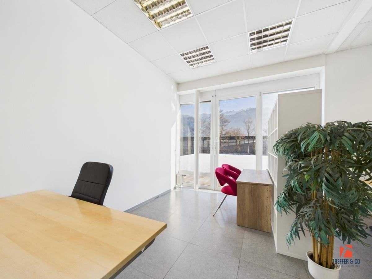 Helles Büro mit Holzschreibtisch, roten Stühlen und einer großen Pflanze, die den Raum belebt.