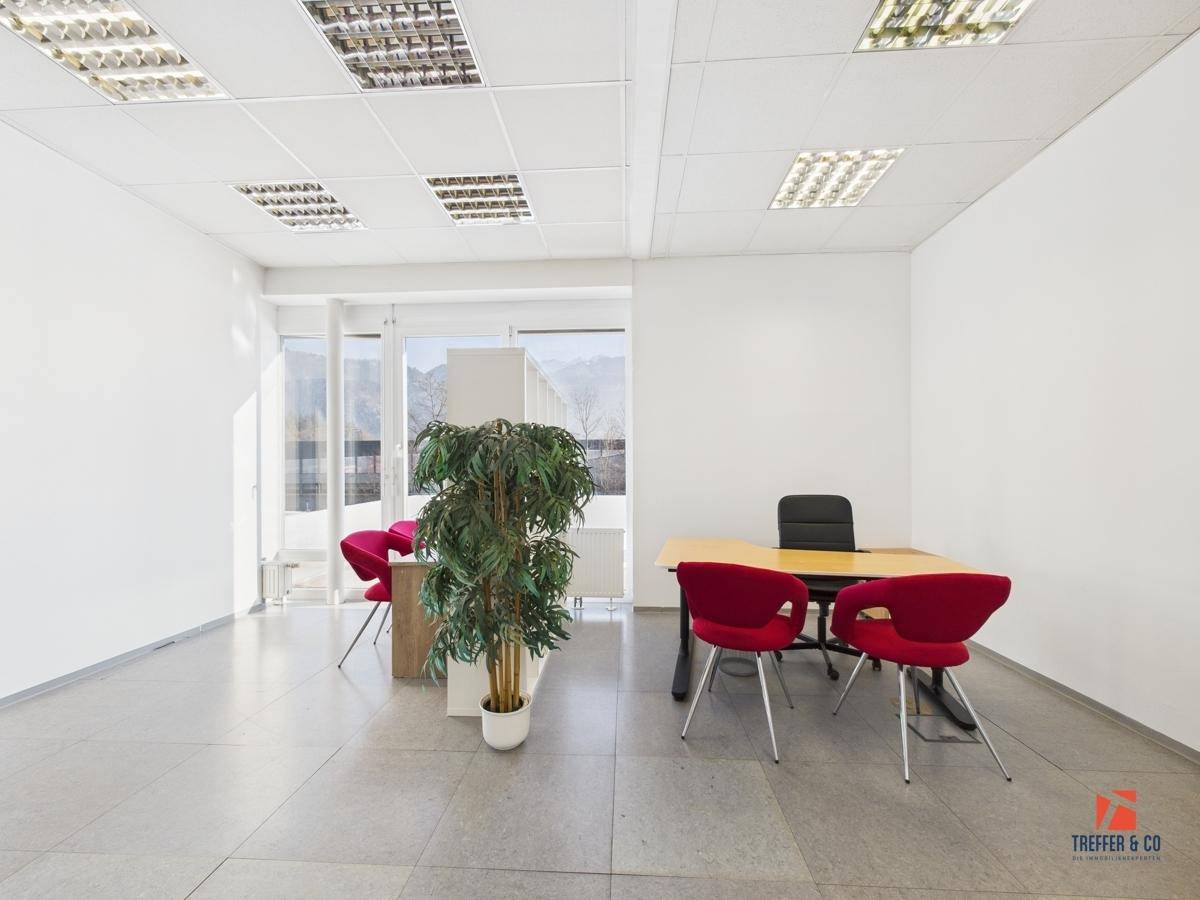 Helles Büro mit Schreibtisch, Bürostuhl, roten Besucherstühlen und einer großen Zimmerpflanze.
