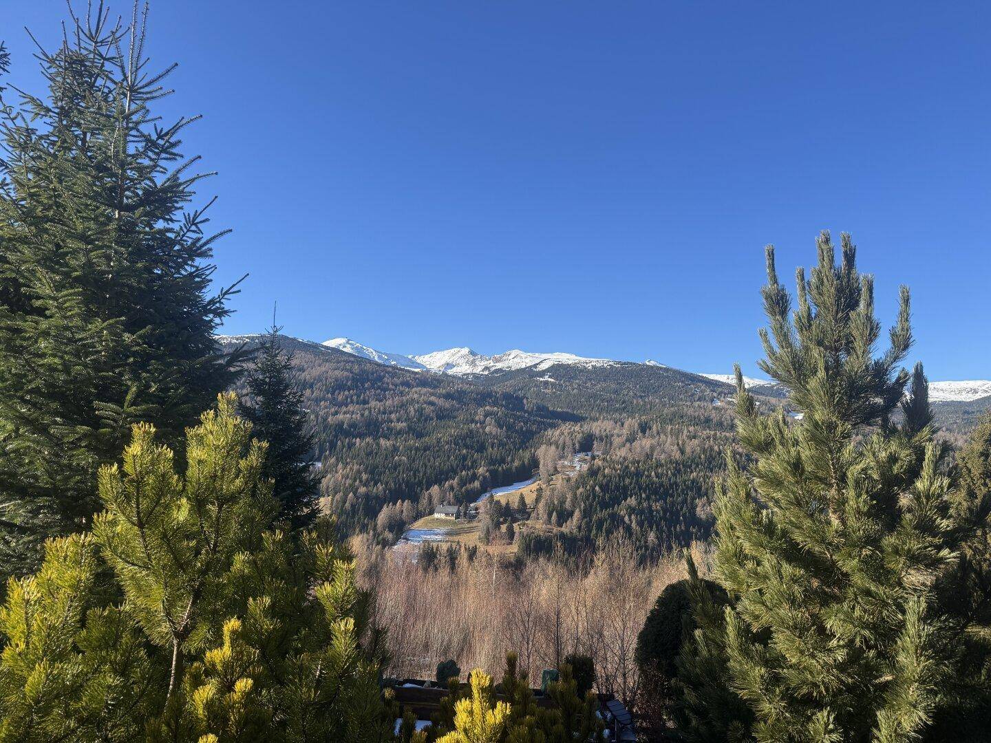 Panoramablick durch Bäume auf ein Tal mit Häusern, Wäldern und schneebedeckten Bergen.