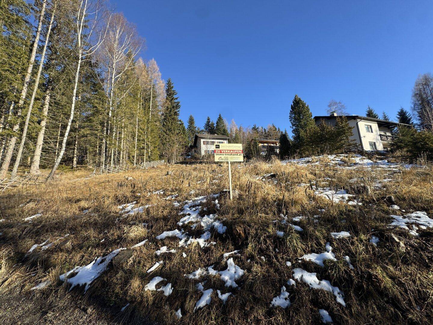 Hanglage mit Gras und Schnee, umgeben von Bäumen und Häusern im Hintergrund.