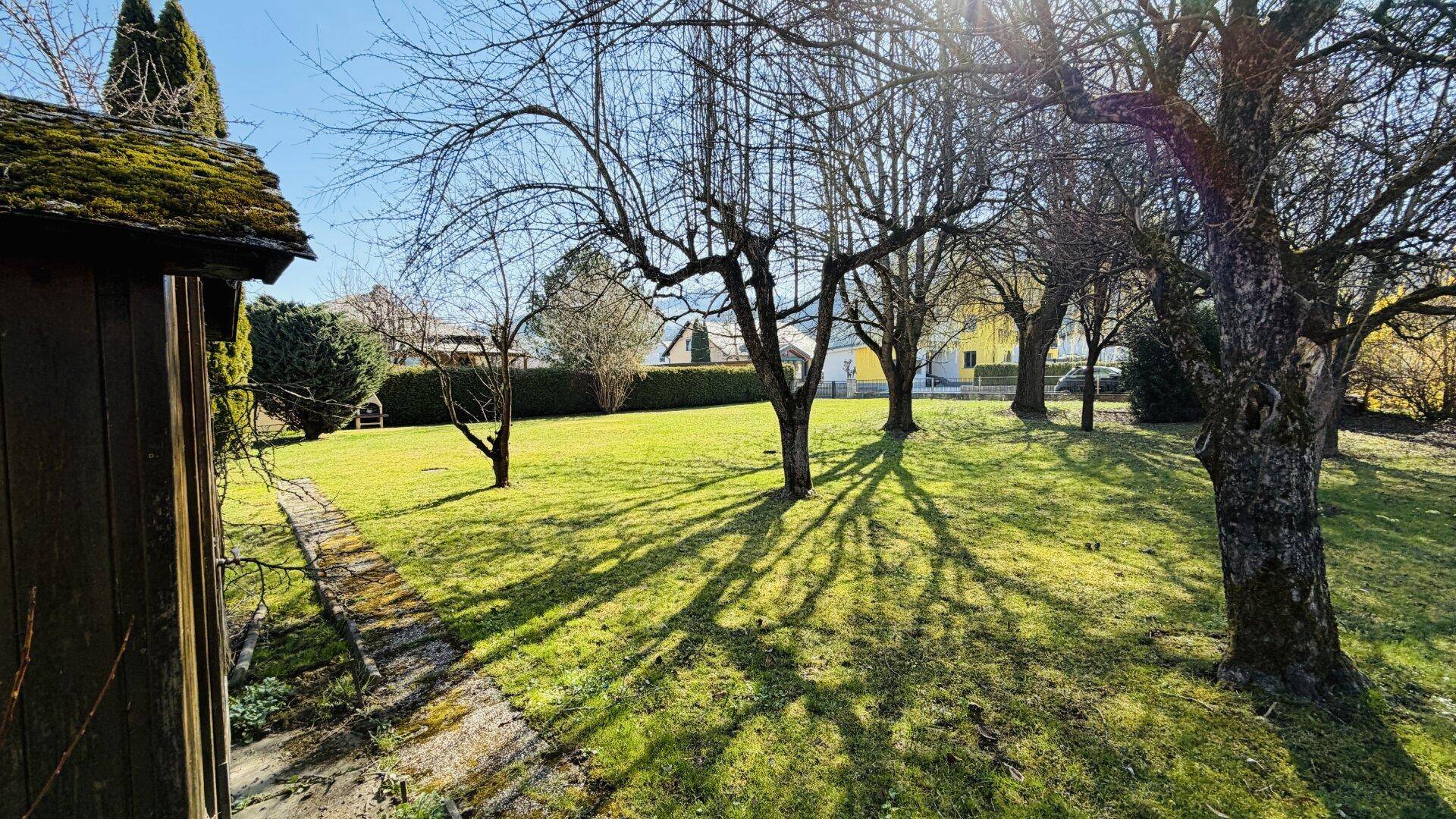 Weitläufiger Garten mit zahlreichen Bäumen, die lange Schatten auf den Rasen werfen.