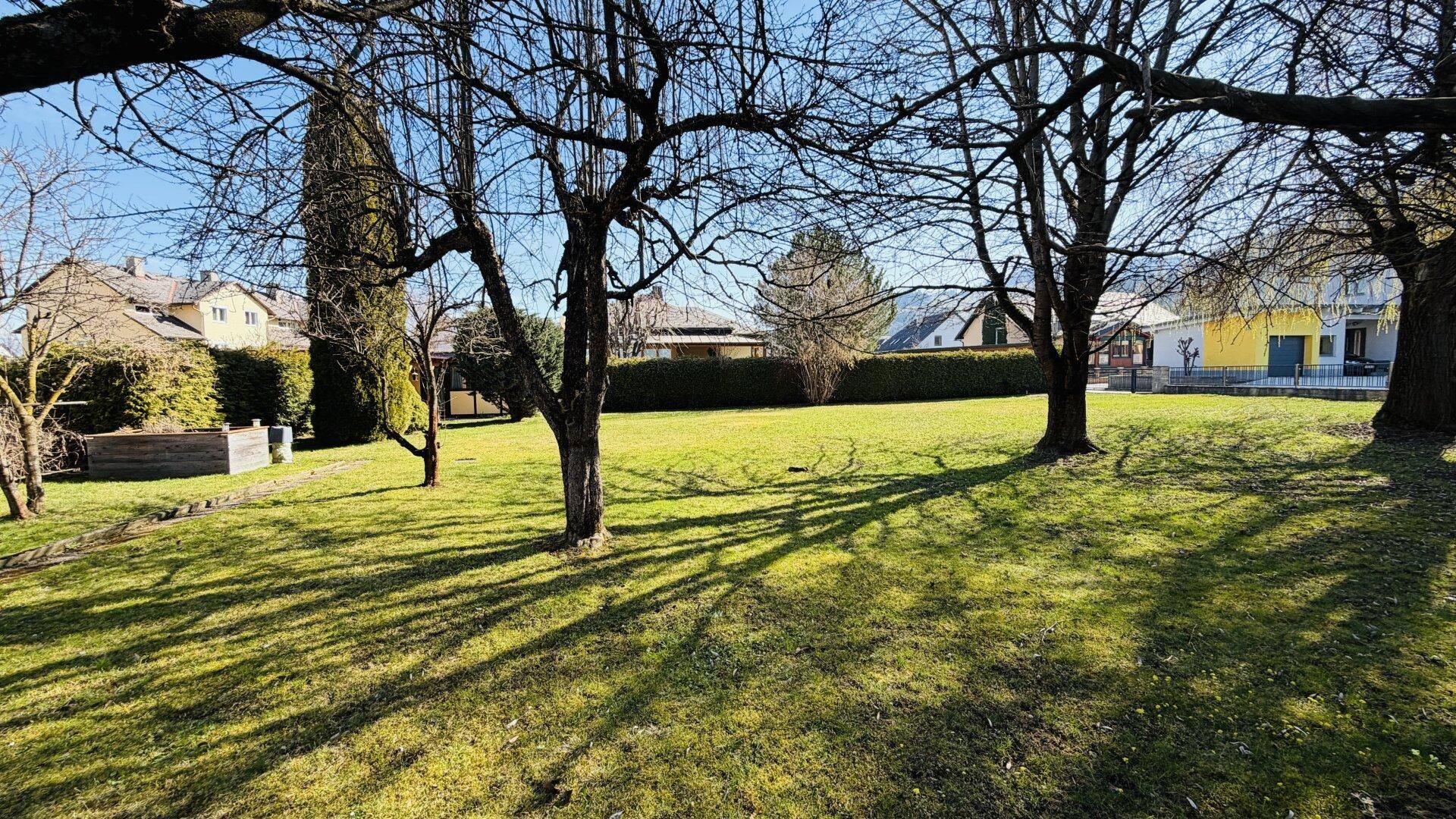 Große Gartenfläche mit alten Bäumen und einer gepflegten Hecke im Hintergrund.