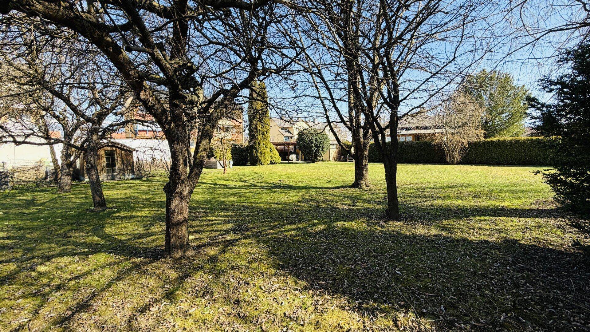 Idyllischer Garten mit schattenspendenden Bäumen und einem kleinen Holzschuppen am Rand.
