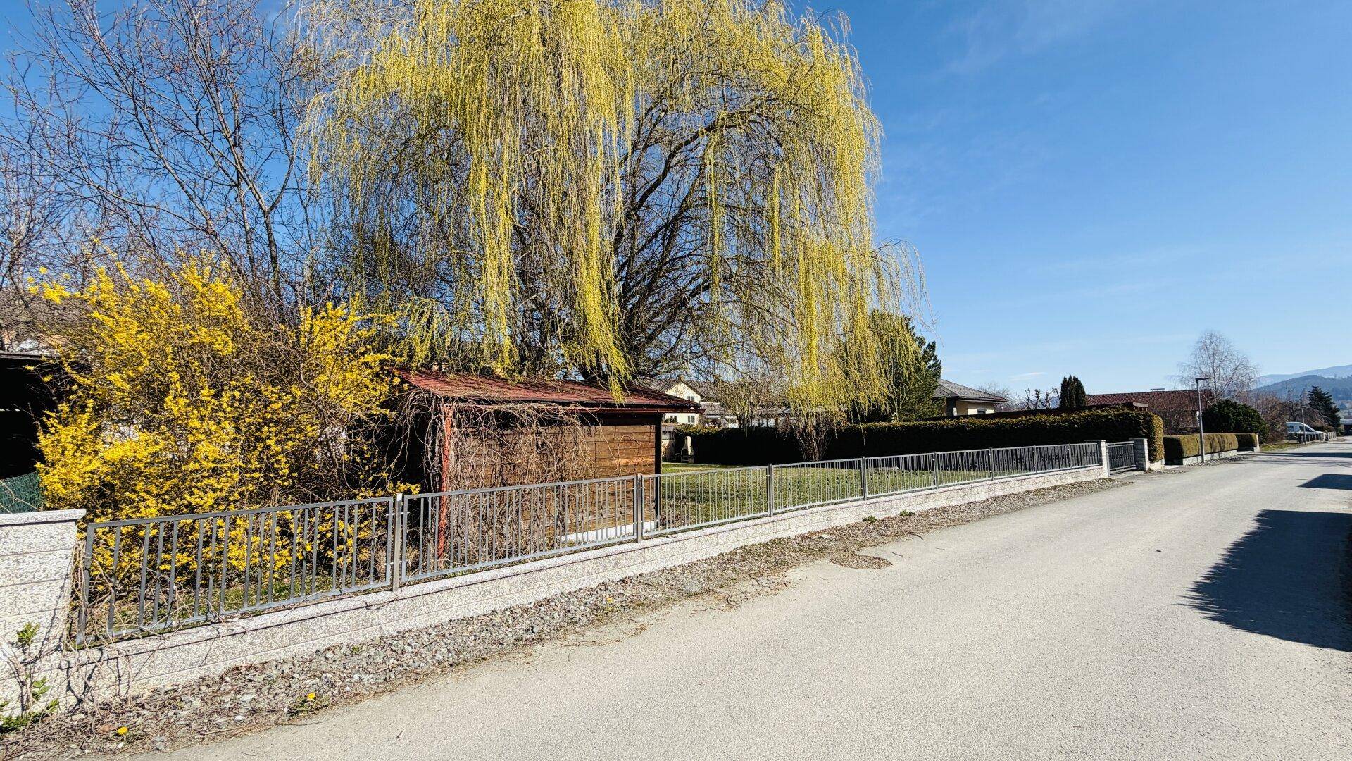 Straßenansicht mit einem Zaun, einem großen Weidenbaum und einem kleinen Holzschuppen.