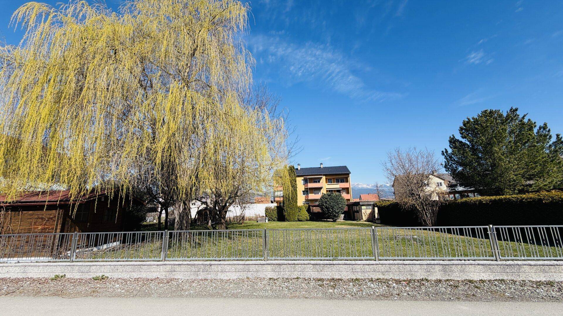 Straßenansicht mit Zaun, großem Weidenbaum und Gebäuden sowie Bergen im Hintergrund.
