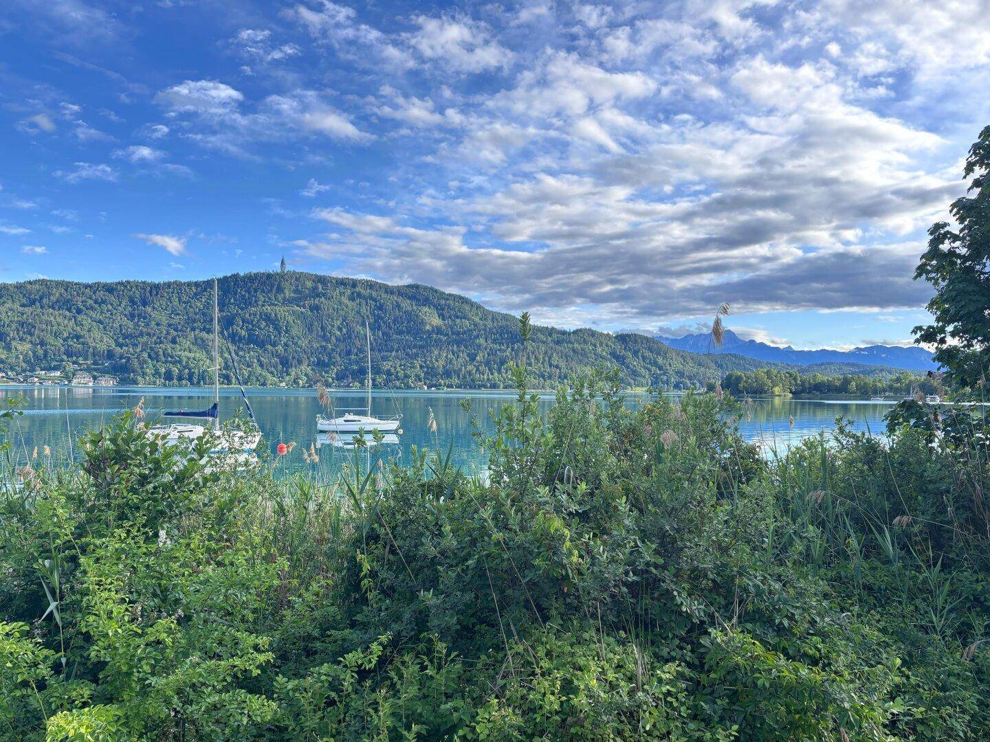 Weitläufiger Blick auf den See mit Segelbooten und bewaldeten Ufern unter blauem Himmel.