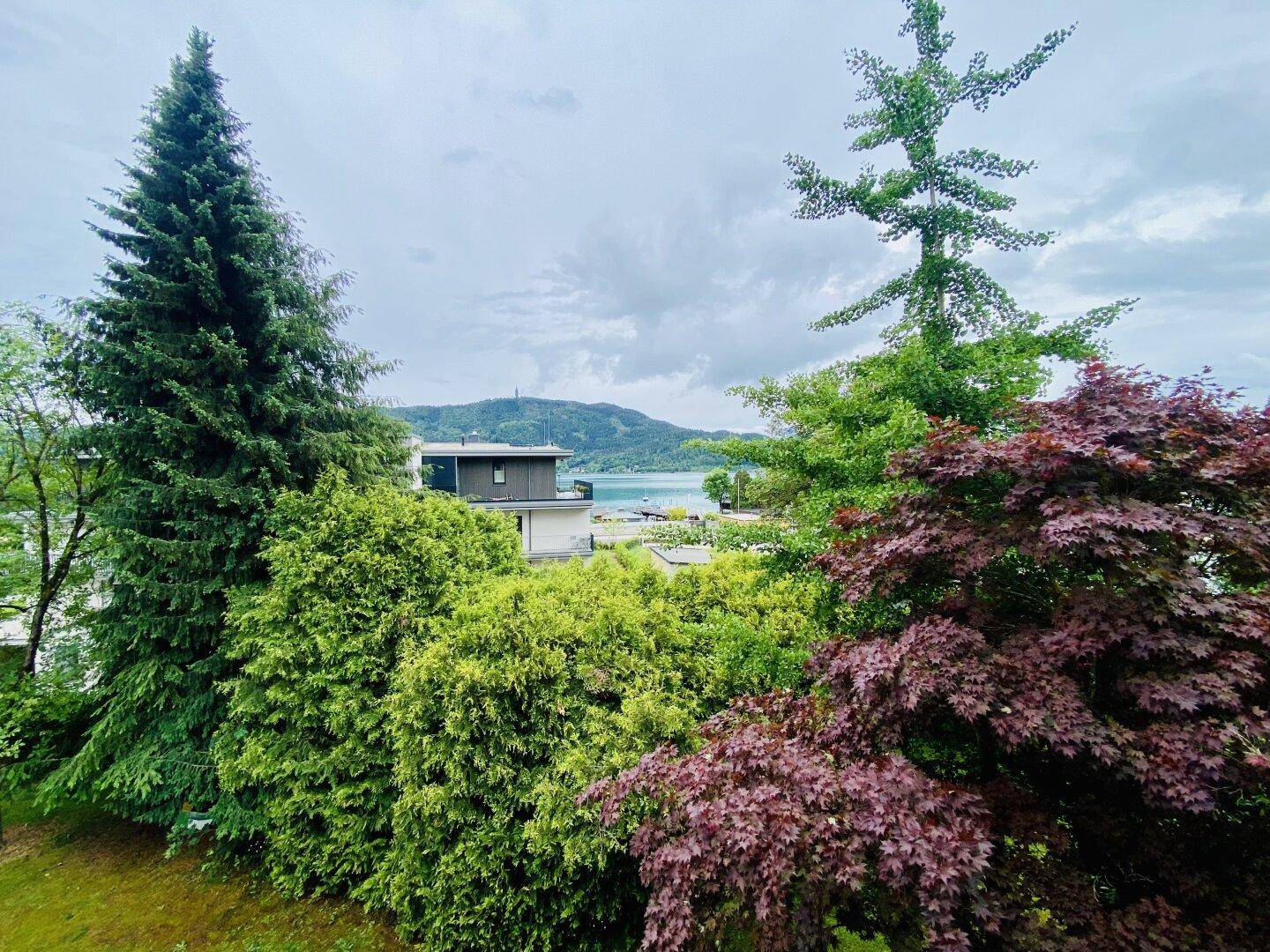 Grüner Ausblick auf den See und die umliegende Landschaft durch Bäume.