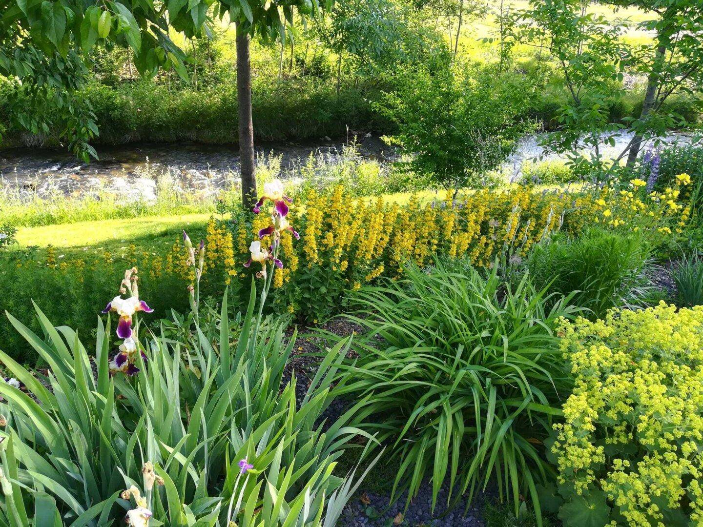 Farbenfroher Garten mit vielfältigen Blumen und Pflanzen, direkt am plätschernden Bach gelegen.