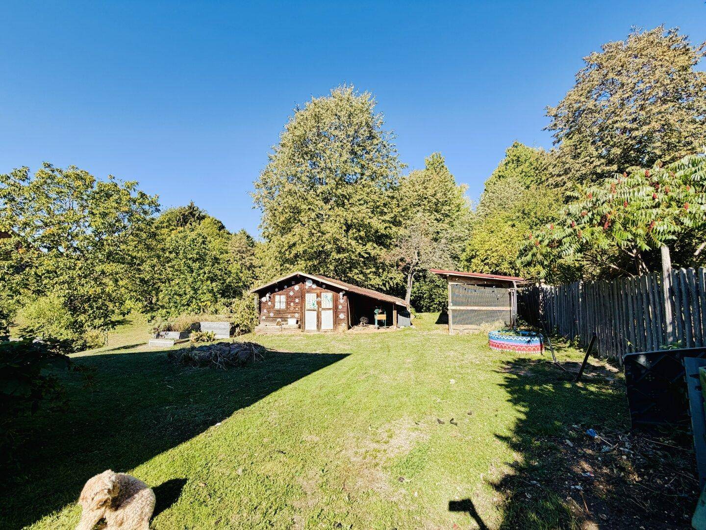 Großer grüner Garten mit Holzschuppen und alten Bäumen, bietet viel Platz im Freien.