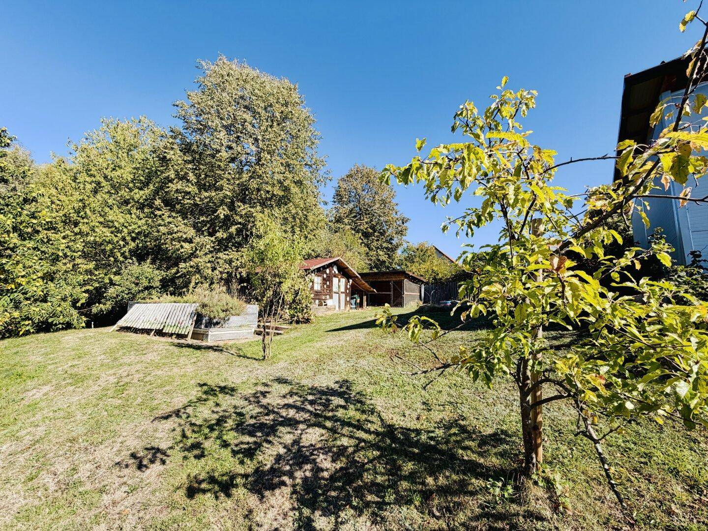 Grüne Gartenfläche mit Obstbaum und Holzschuppen im Hintergrund, umgeben von alten Bäumen.