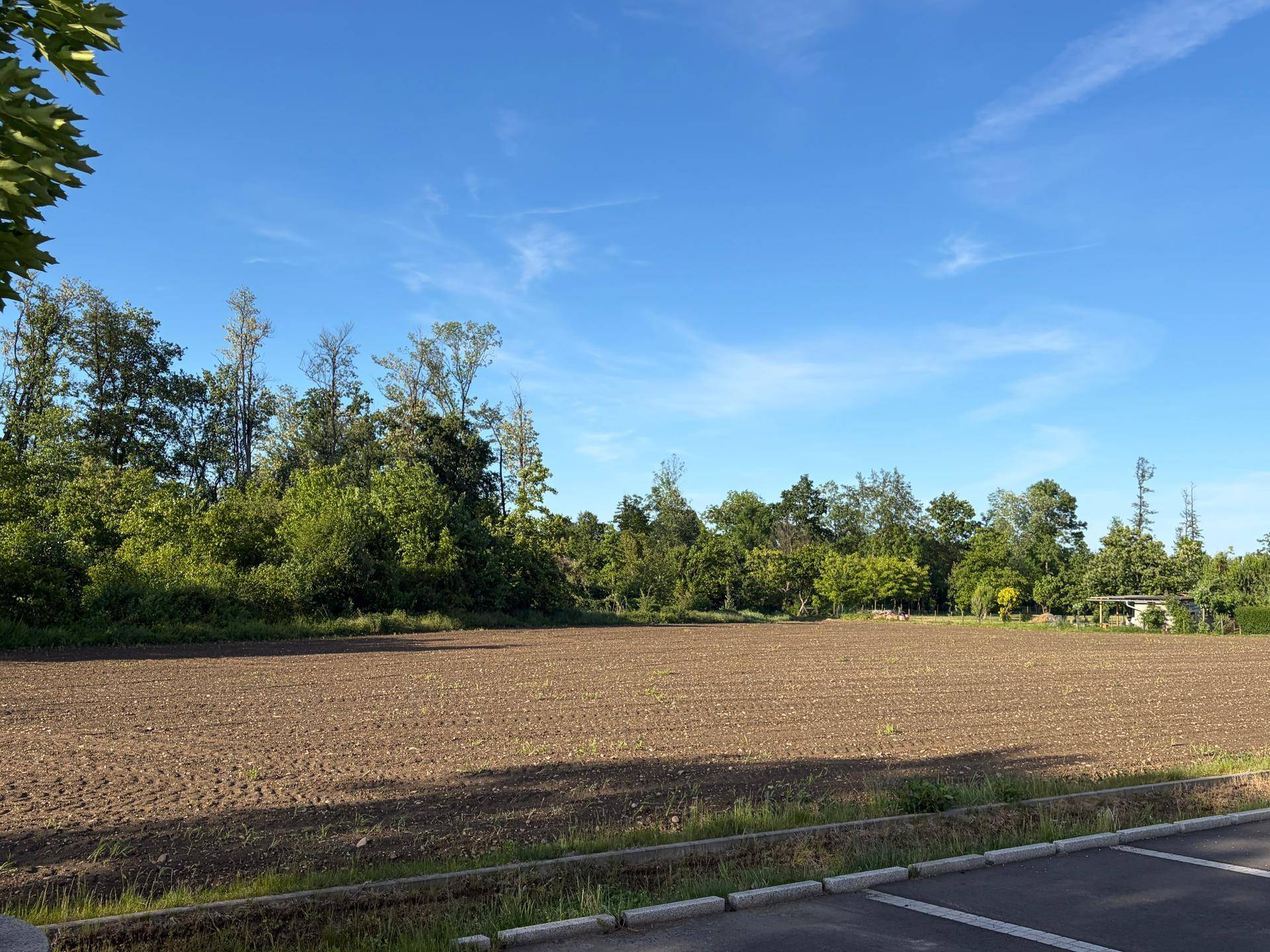 Weitläufiges, unbebautes Grundstück mit Ackerland und umgebender Vegetation unter einem klaren blauen Himmel.