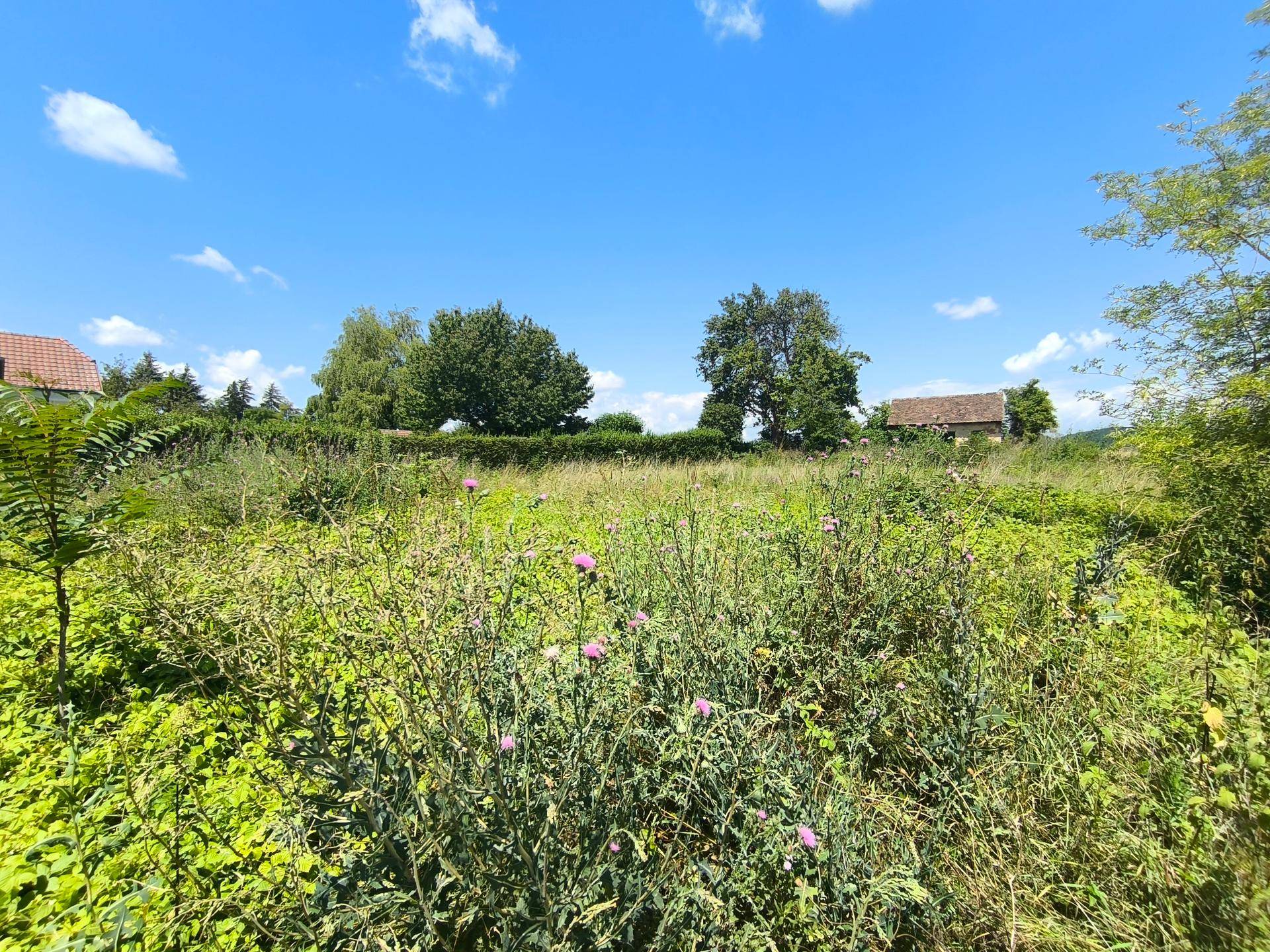 Weitläufiges, ungenutztes Grundstück mit üppiger Vegetation und Blick auf die ländliche Umgebung.