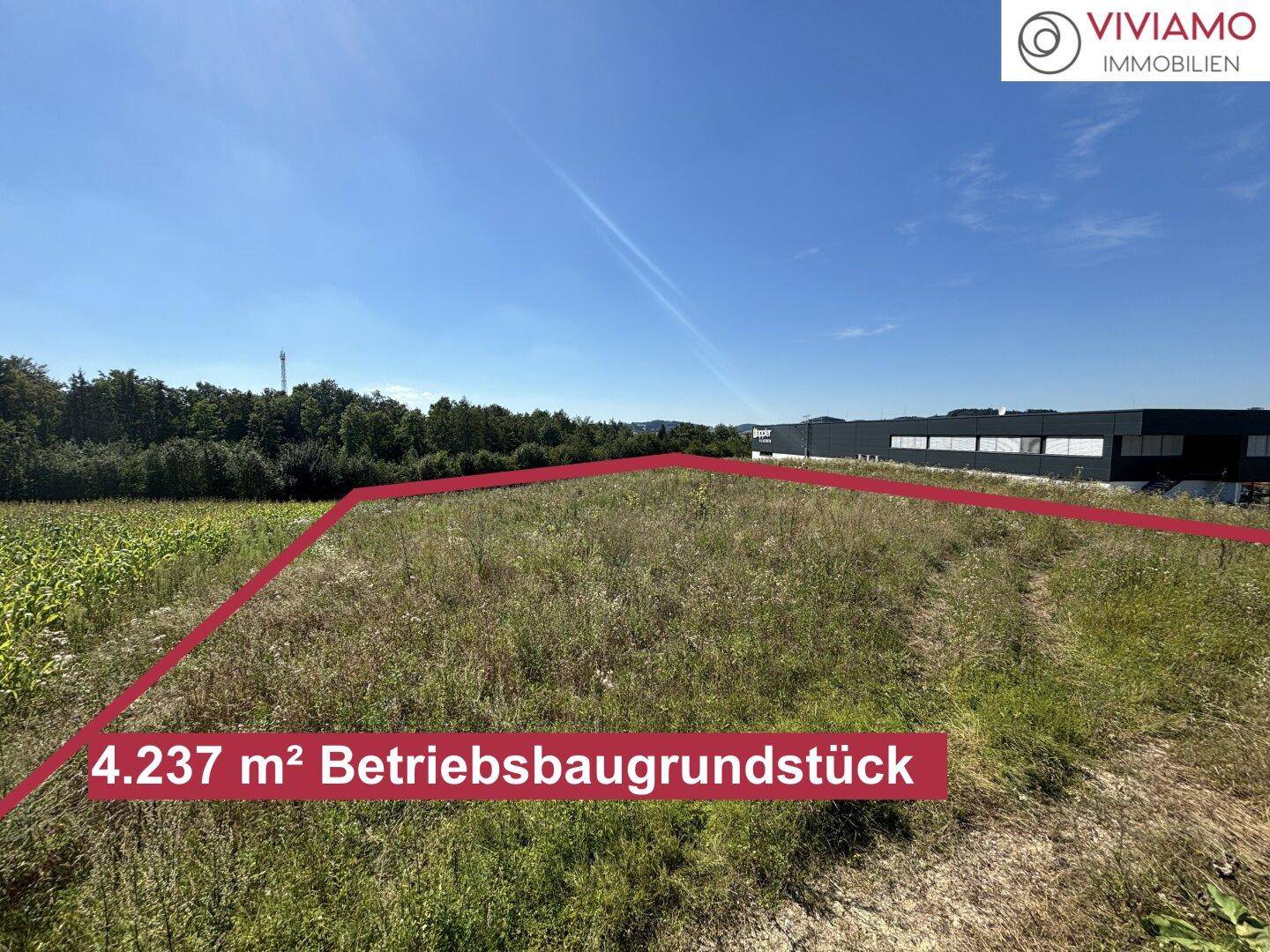 Nahaufnahme eines unbebauten Betriebsbaugrundstücks mit Grasbewuchs und einer roten Markierung unter blauem Himmel.