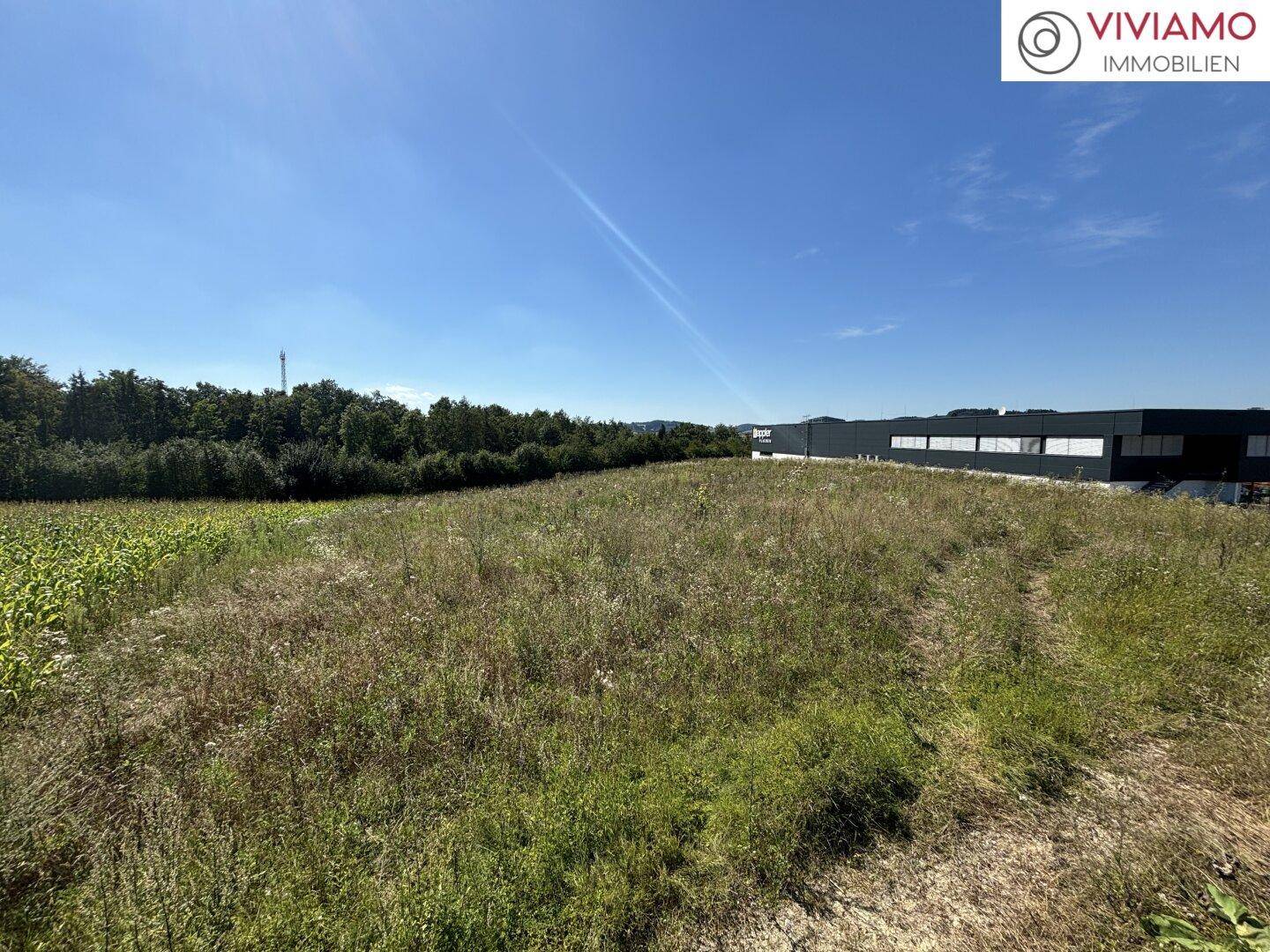 Weitläufiges Betriebsbaugrundstück mit natürlicher Vegetation und Blick auf umliegende Gewerbegebäude in der Ferne.