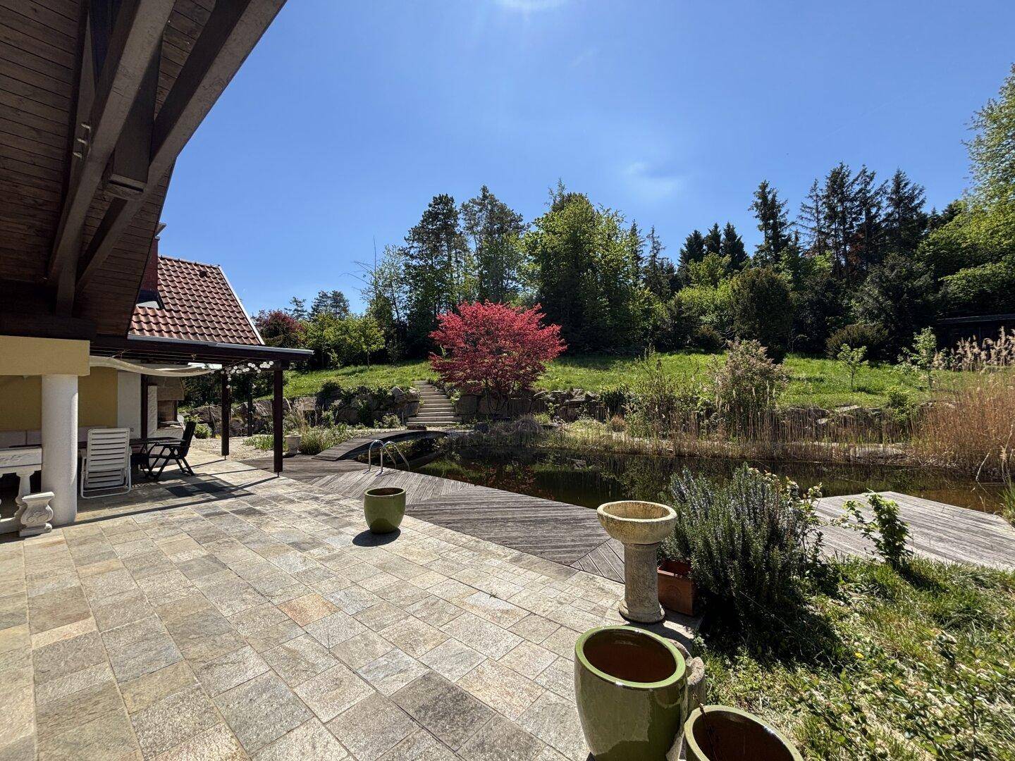Sonnige Steinterrasse mit Pflanzen und einem Teich, umgeben von üppiger Natur.