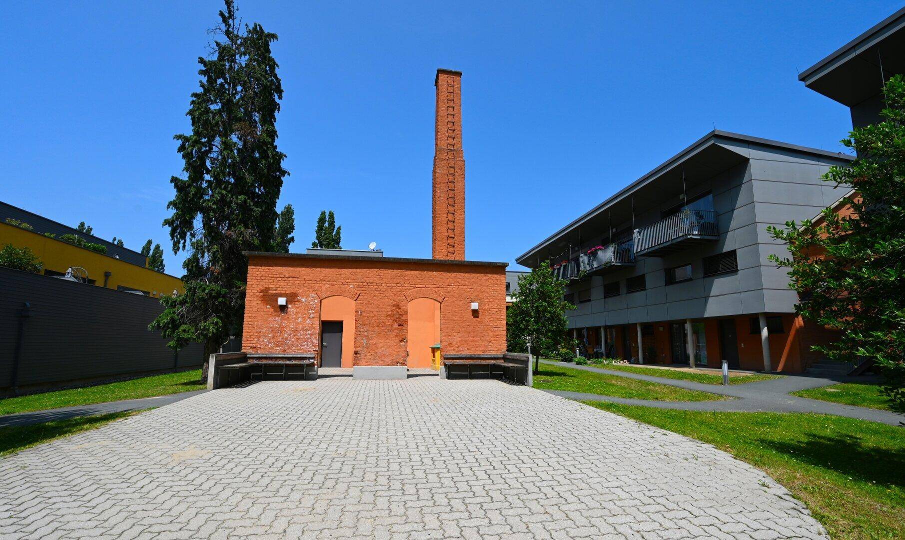 Slide 6