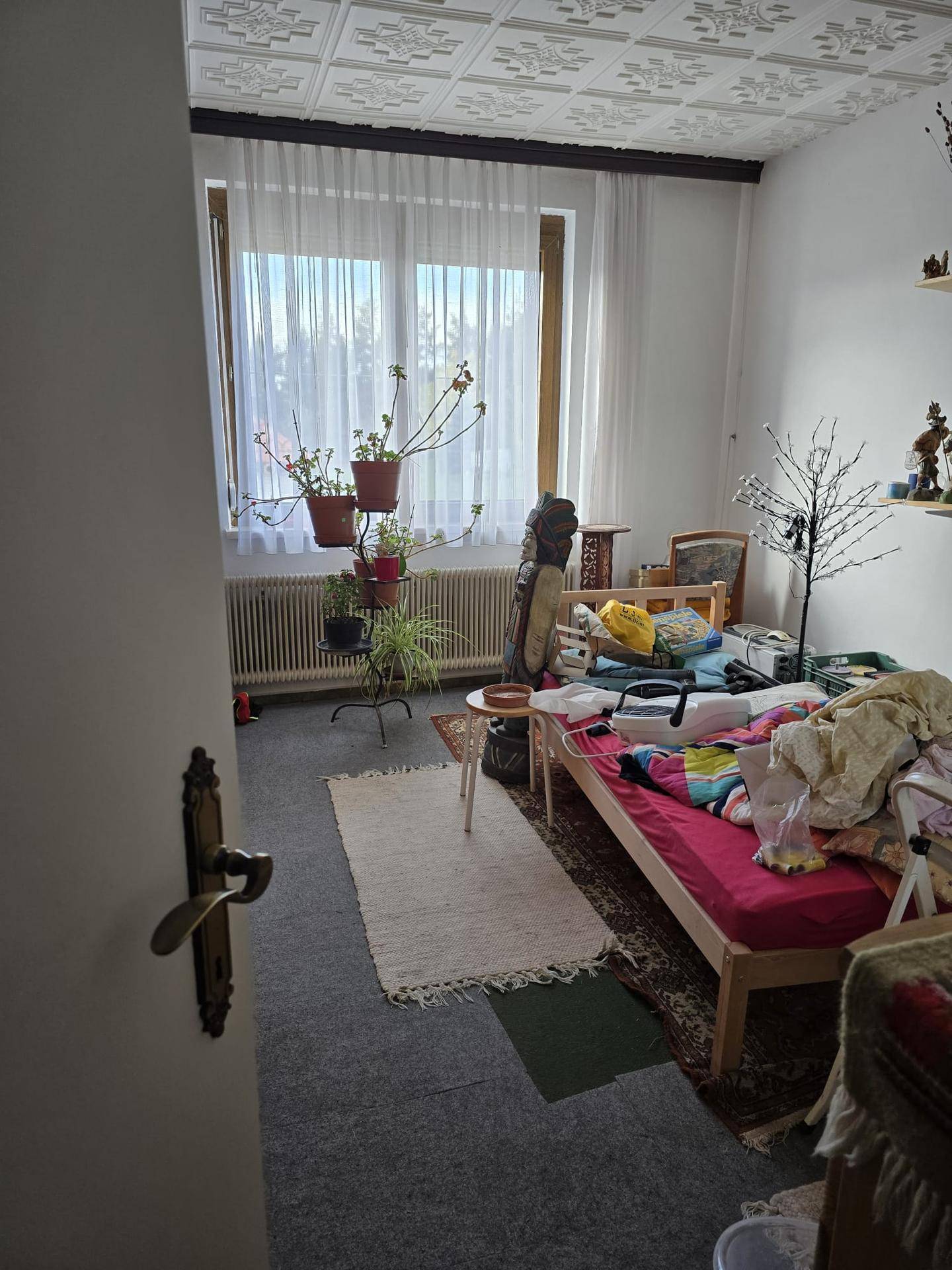 Schlafzimmer oder Gästezimmer mit Bett, Pflanzen und einem Fenster, das Tageslicht hereinlässt.