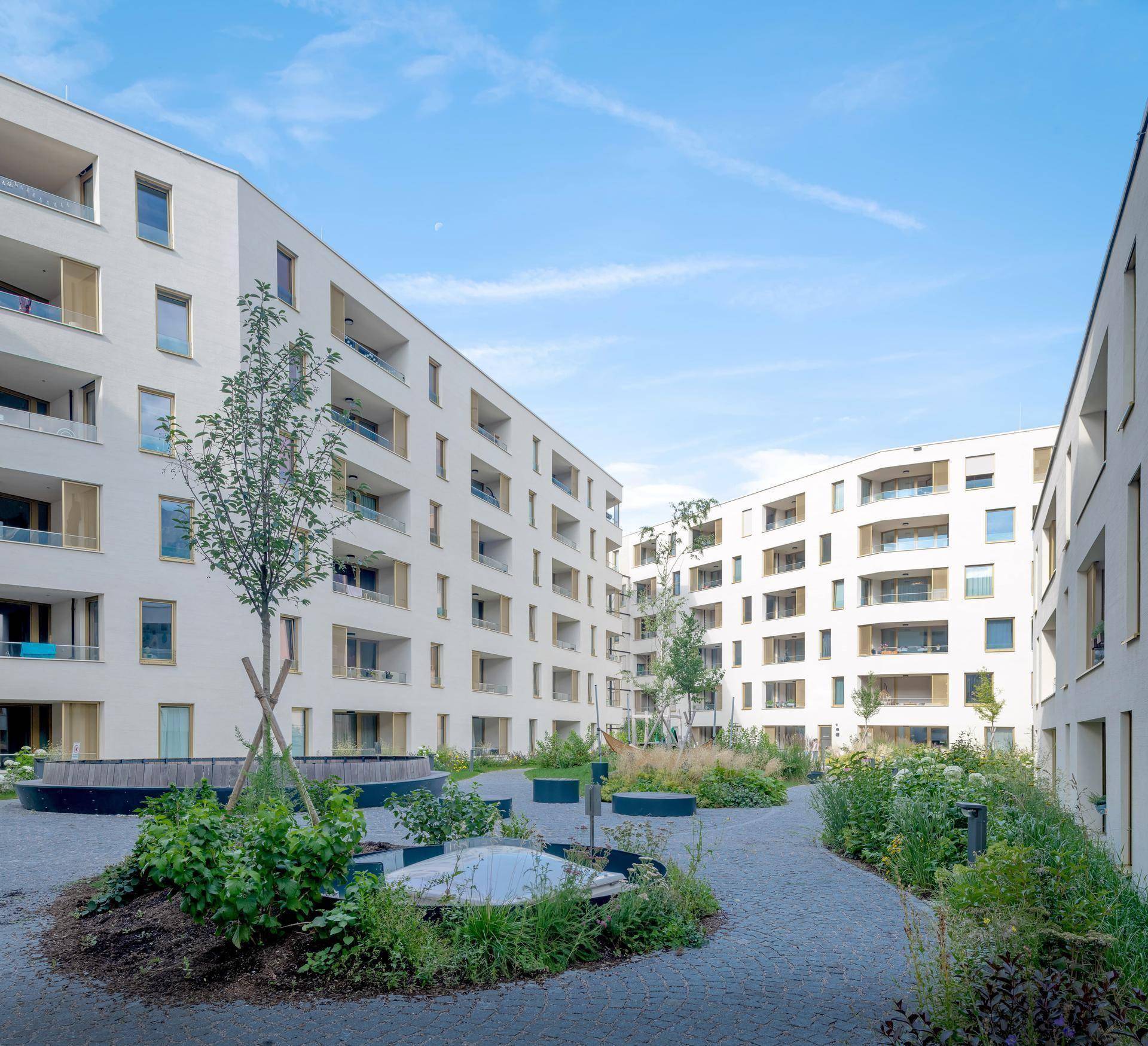 Moderne Wohngebäude mit hellen Fassaden umgeben einen begrünten Innenhof mit Bäumen und Sträuchern.