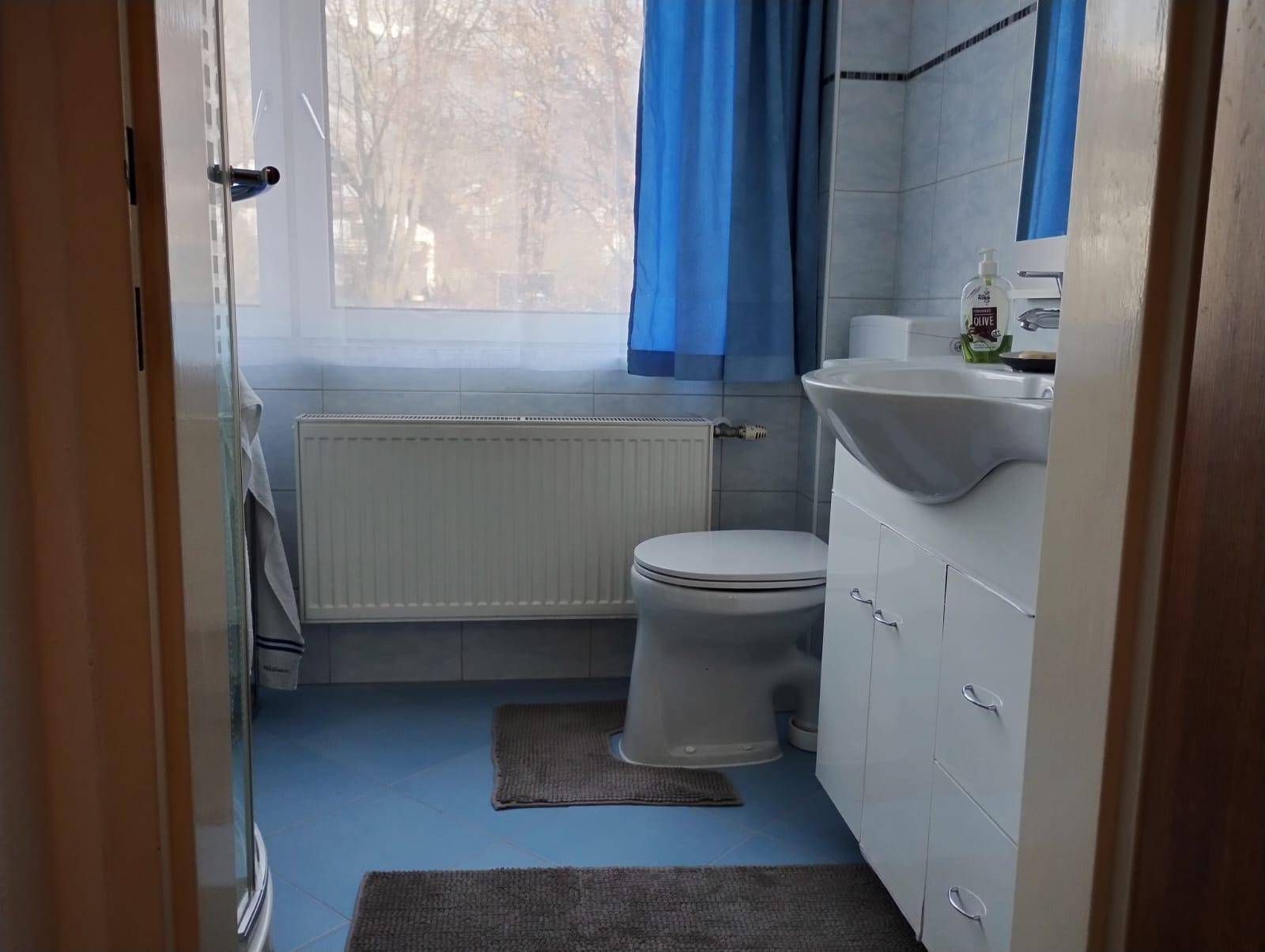 Helles Badezimmer mit WC, Waschbecken und Fenster, ausgestattet mit blauen Fliesen.