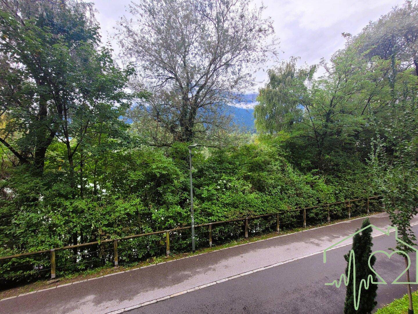 Malerischer Ausblick auf grüne Bäume, eine Straße und ferne Berge unter bewölktem Himmel.