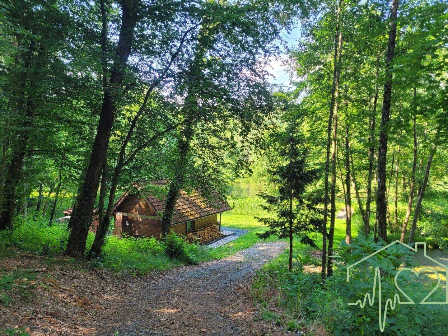 Kiesweg führt durch den Wald zu einer charmanten Holzhütte mit Blick auf das Wasser.