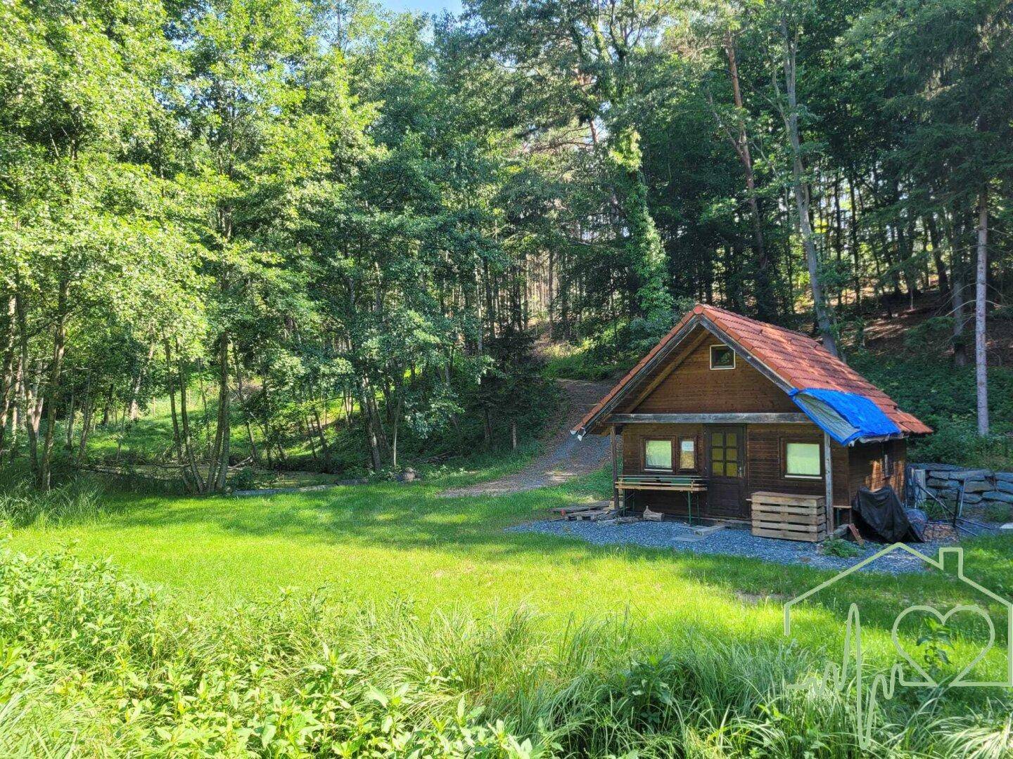Kleine Holzhütte mit rotem Dach und blauer Plane, eingebettet in eine grüne Waldlandschaft.