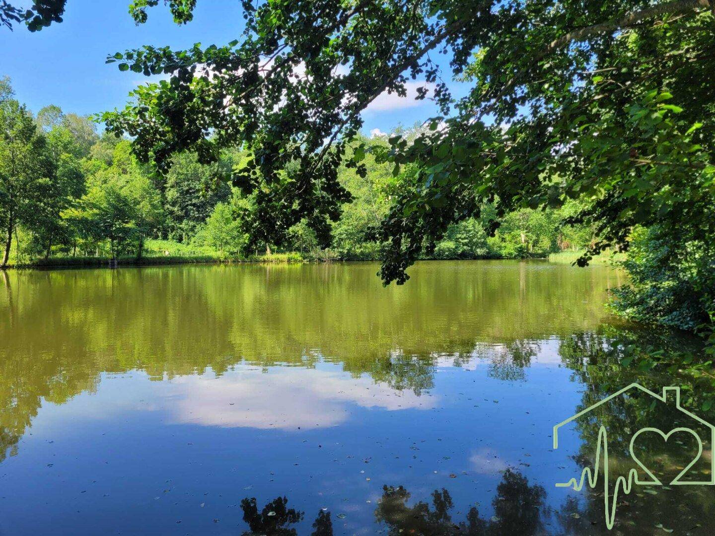 Weitläufiger Blick auf den Teich mit spiegelndem Wasser, umgeben von dichtem grünen Laubwerk.