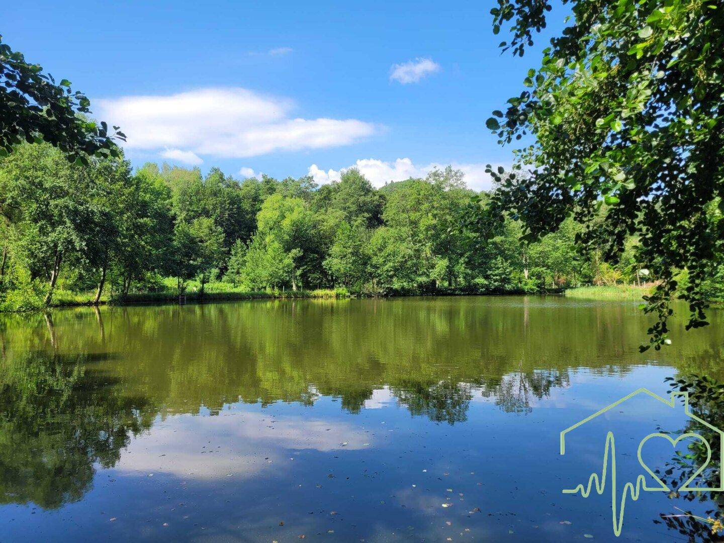 Panoramablick auf den ruhigen Teich, der den blauen Himmel und die Bäume perfekt widerspiegelt.