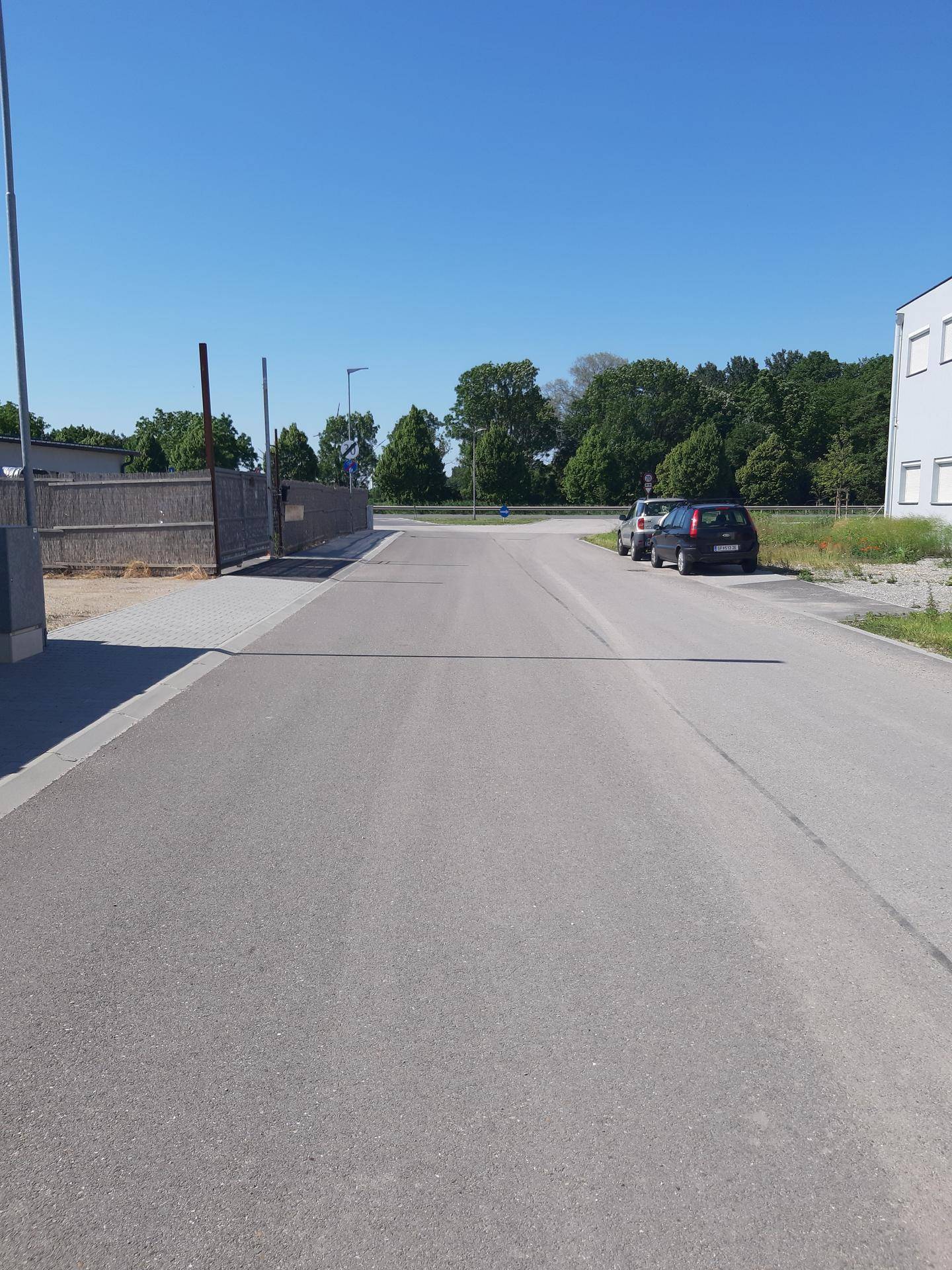 Ruhige Straße mit parkenden Autos und Bäumen im Hintergrund, die eine grüne Aussicht bietet.