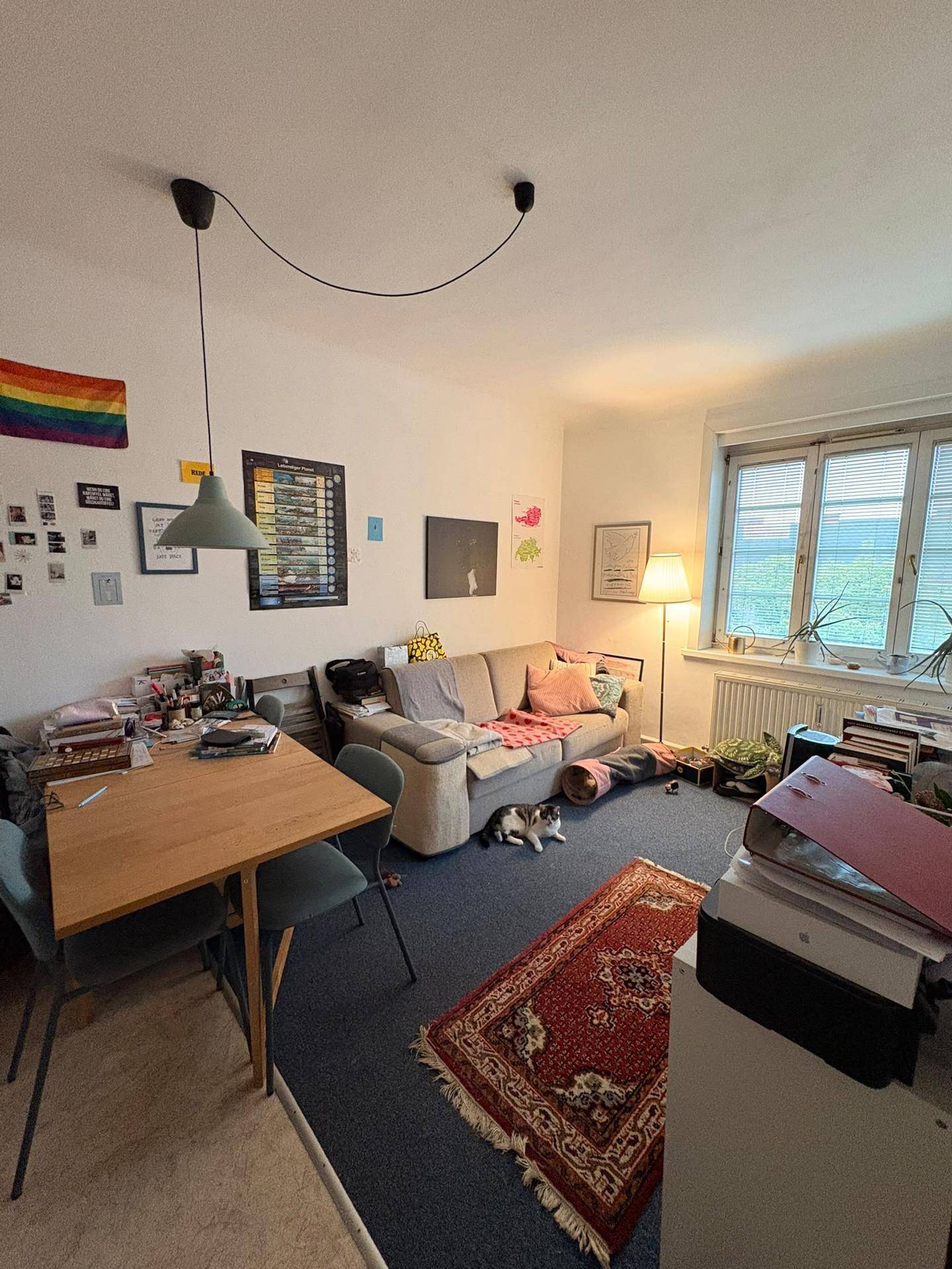 Gemütlicher Wohn- und Essbereich mit Sofa, Esstisch und Teppichboden, hell beleuchtet durch ein Fenster.