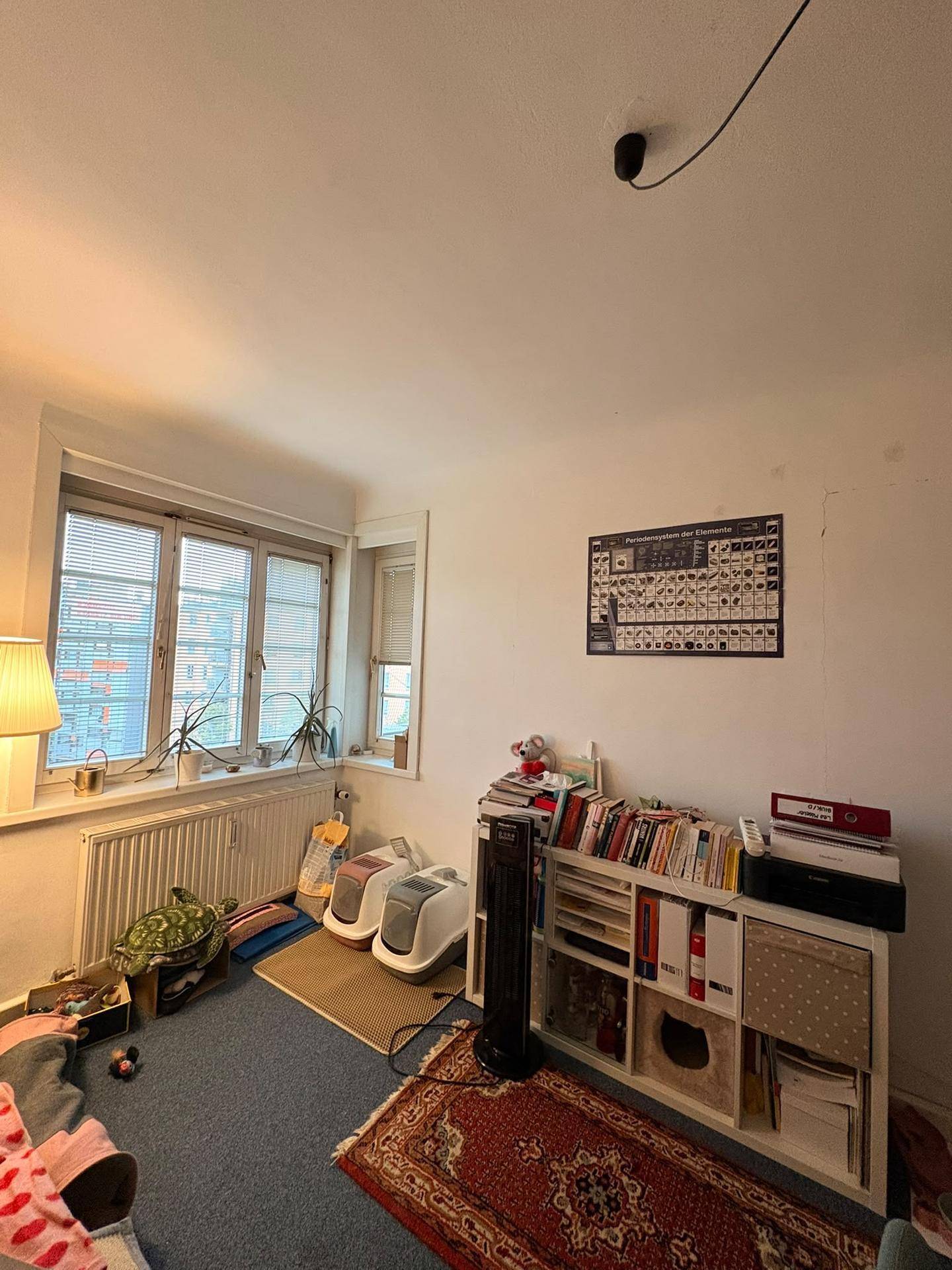 Heller Wohnbereich mit Fenster, Heizkörper und Bücherregal, bietet eine funktionale und gemütliche Atmosphäre.