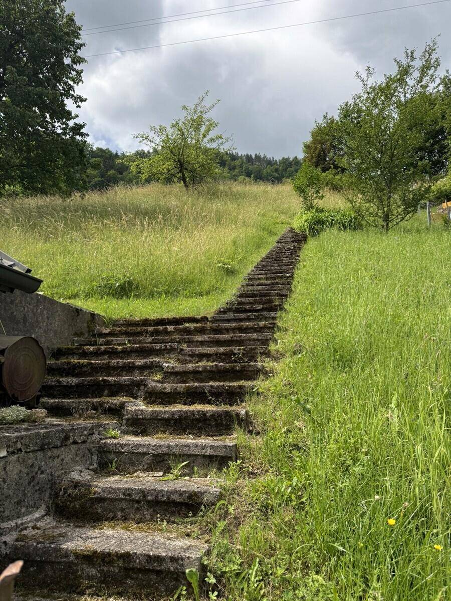 Lange Steintreppe führt einen grünen Hang hinauf, umgeben von hohem Gras und Bäumen.