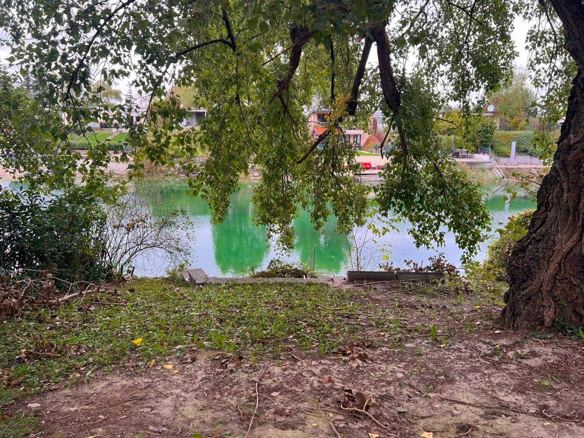 Naturgarten direkt am Wasser