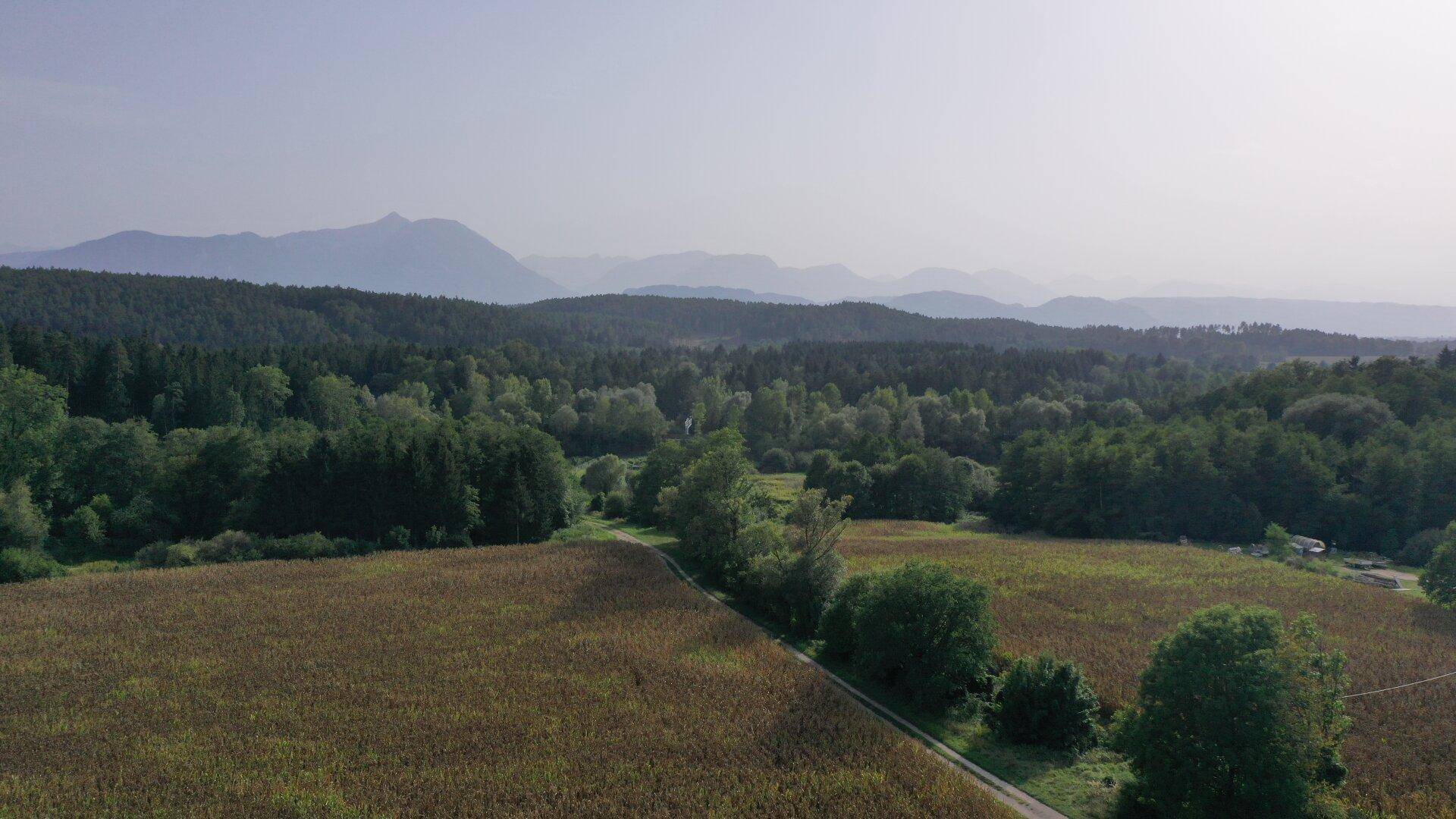 Weitläufige Landschaftsaufnahme mit Feldern, Wäldern und einer Bergkette im Hintergrund.