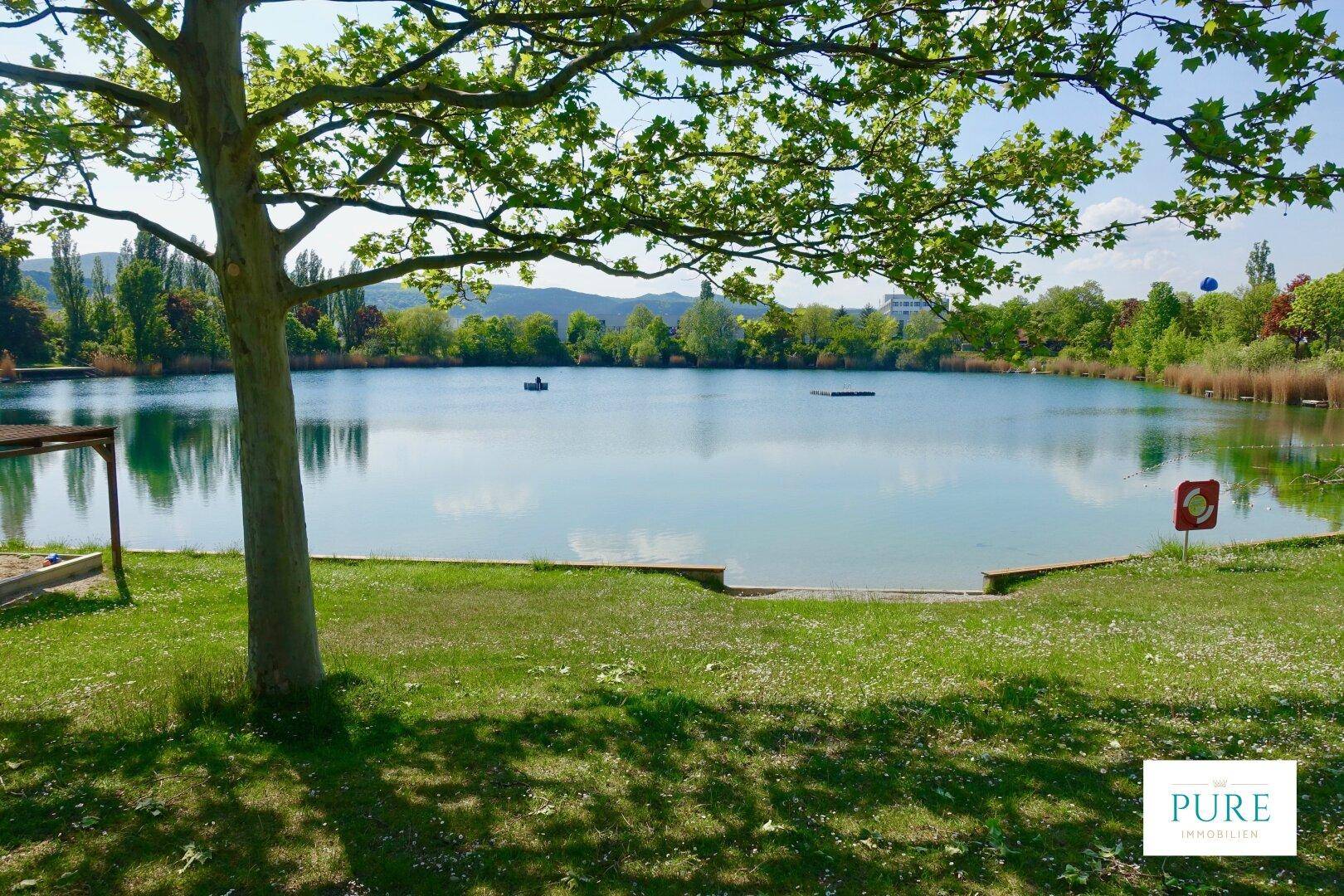 Naturjuwel " Kahrteich" ums Eck