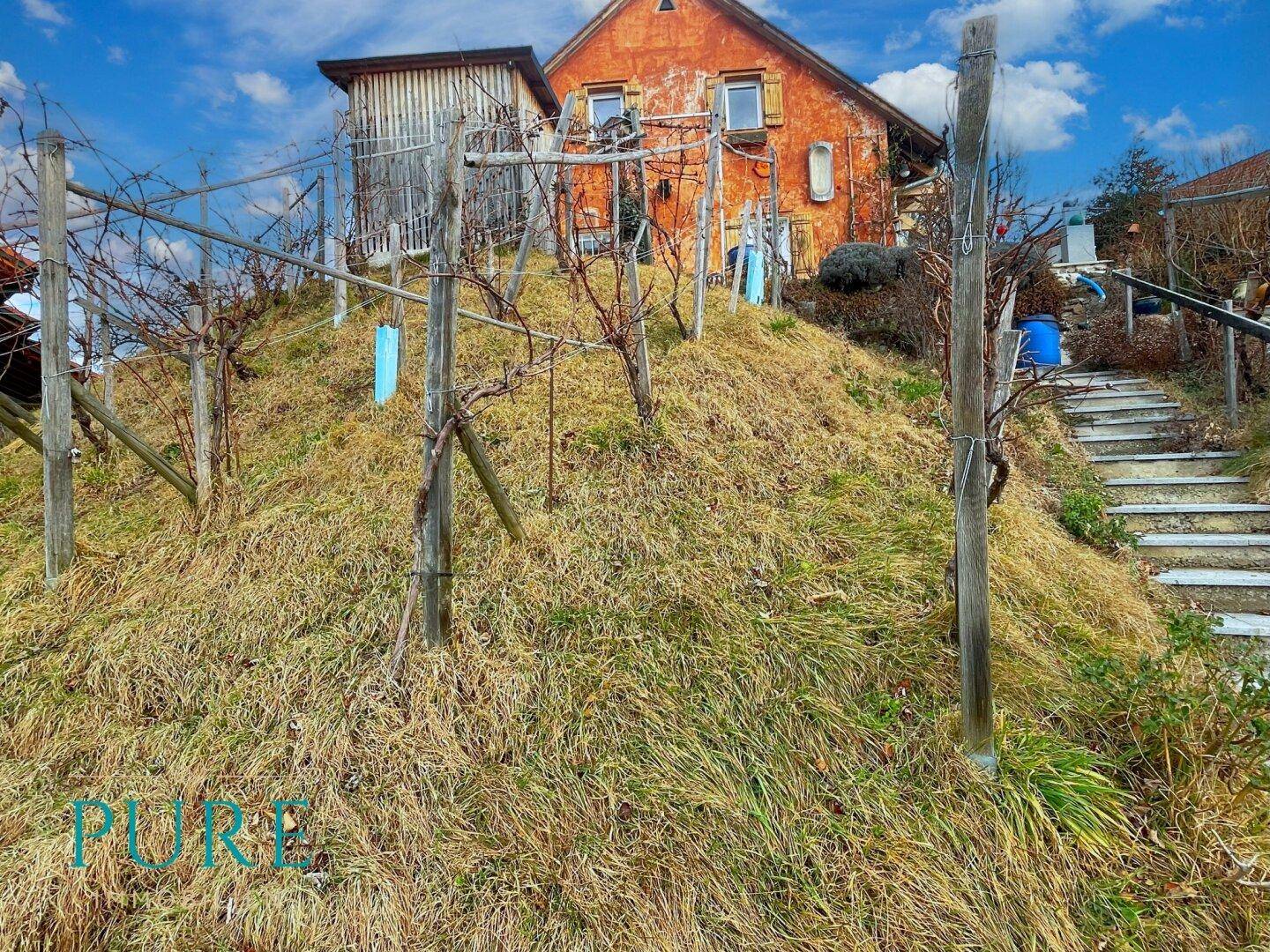 LIEBEVOLL_ANGELEGTER WEINGARTEN