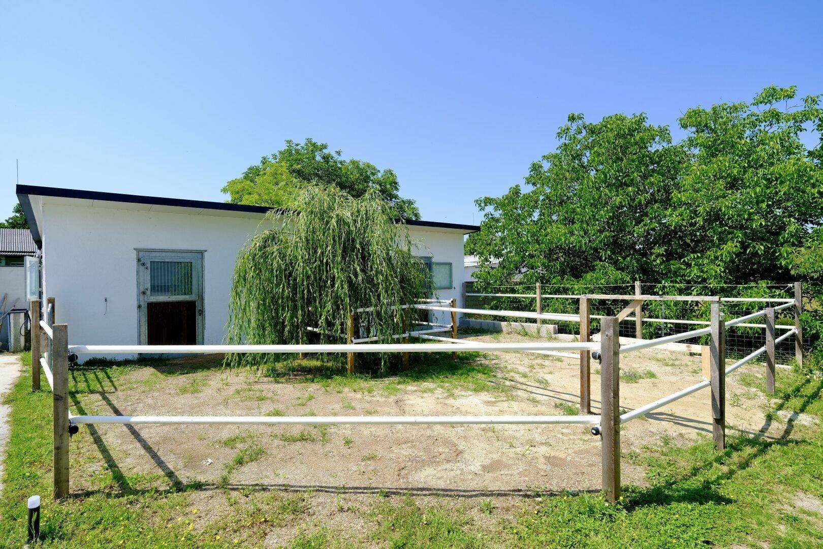 Eigene Pferdeboxen mit Paddocks - NEU