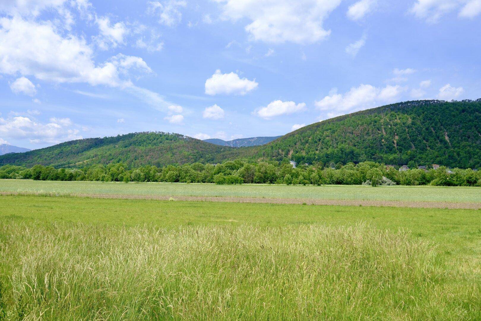 Weitläufige grüne Felder mit bewaldeten Hügeln unter einem blauen Himmel mit weißen Wolken.