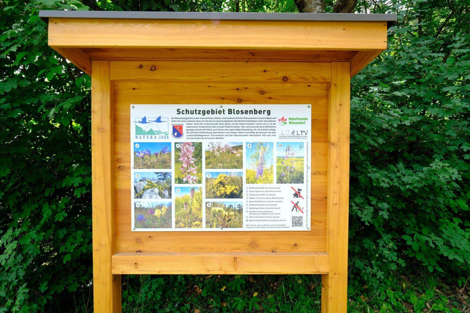 Naturschutzgebiet Blosenberg - "Hausberg"