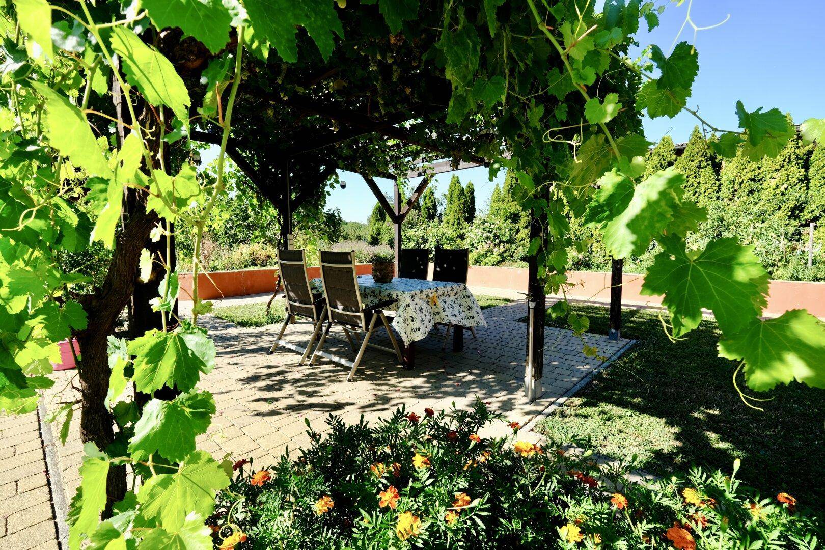 Gemütlicher Sitzbereich im Garten unter einer bewachsenen Pergola, umgeben von Blumen.