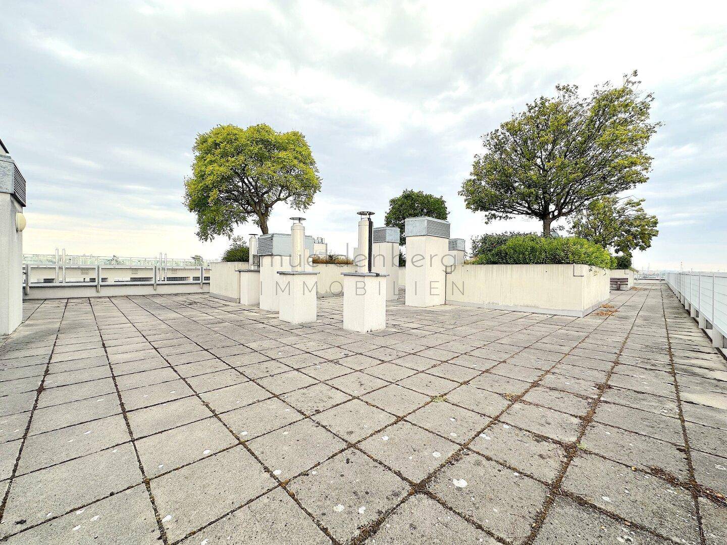 Große Dachterrasse mit Betonplatten, Bäumen in Pflanzkübeln und technischen Aufbauten unter bewölktem Himmel.