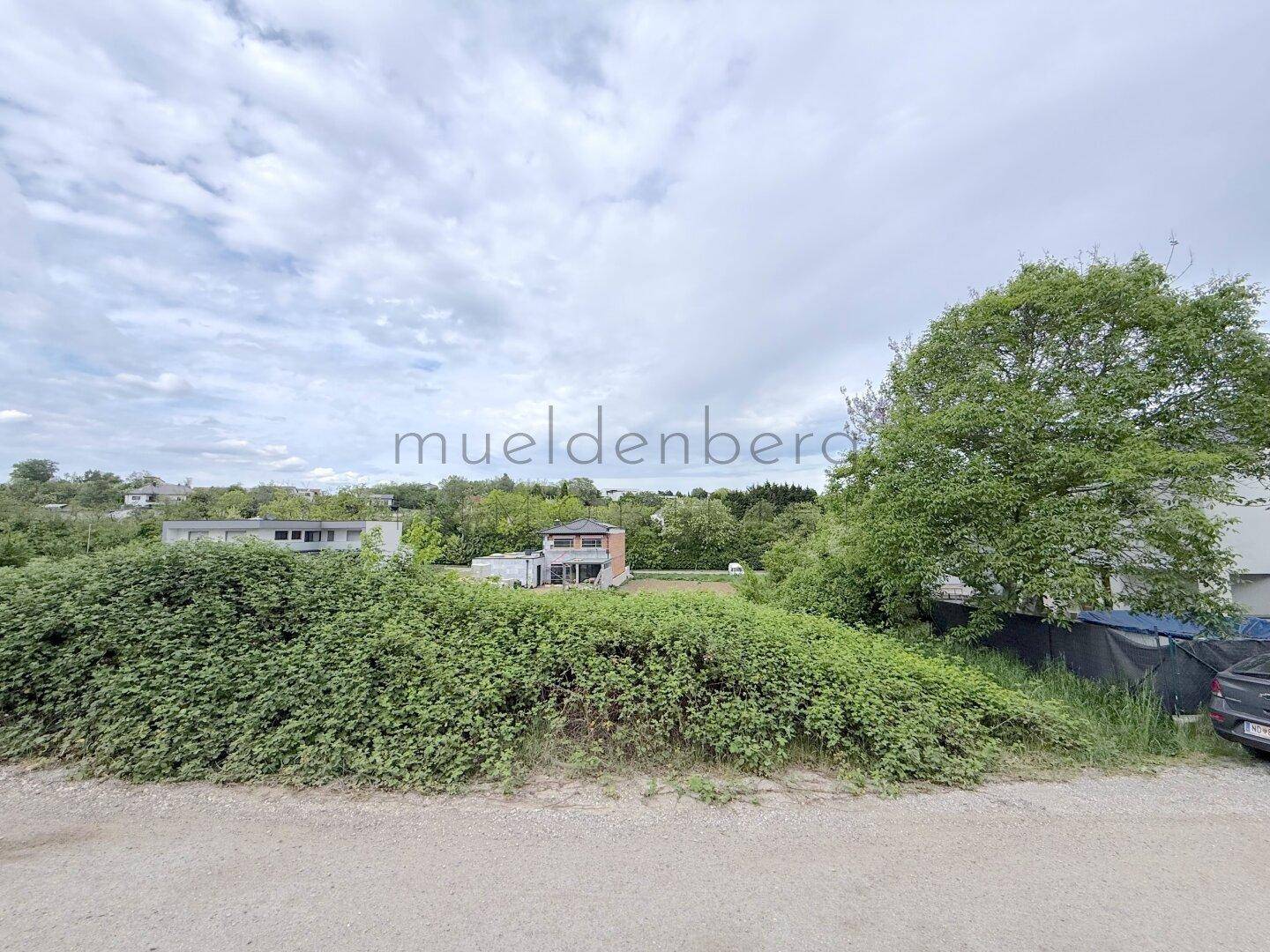 Weitläufiges unbebautes Grundstück mit dichter Buschlandschaft und angrenzenden Wohnhäusern.