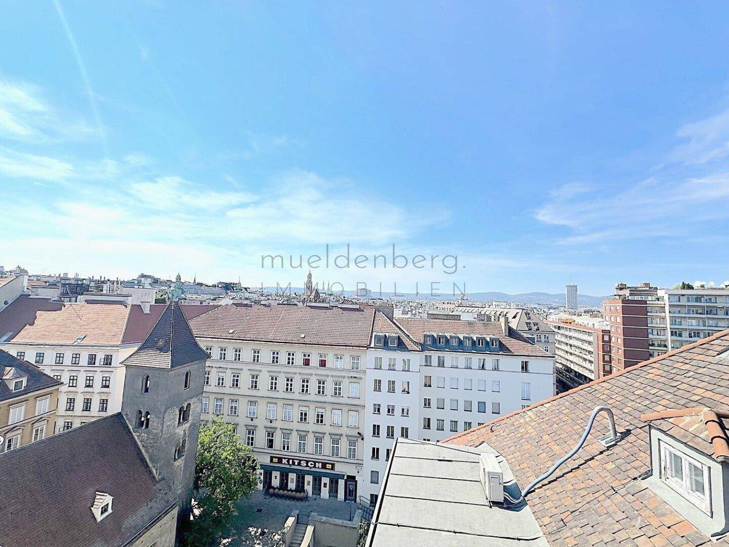 Weitläufiger Panoramablick über die Dächer der Stadt mit historischer Architektur und urbaner Weite.