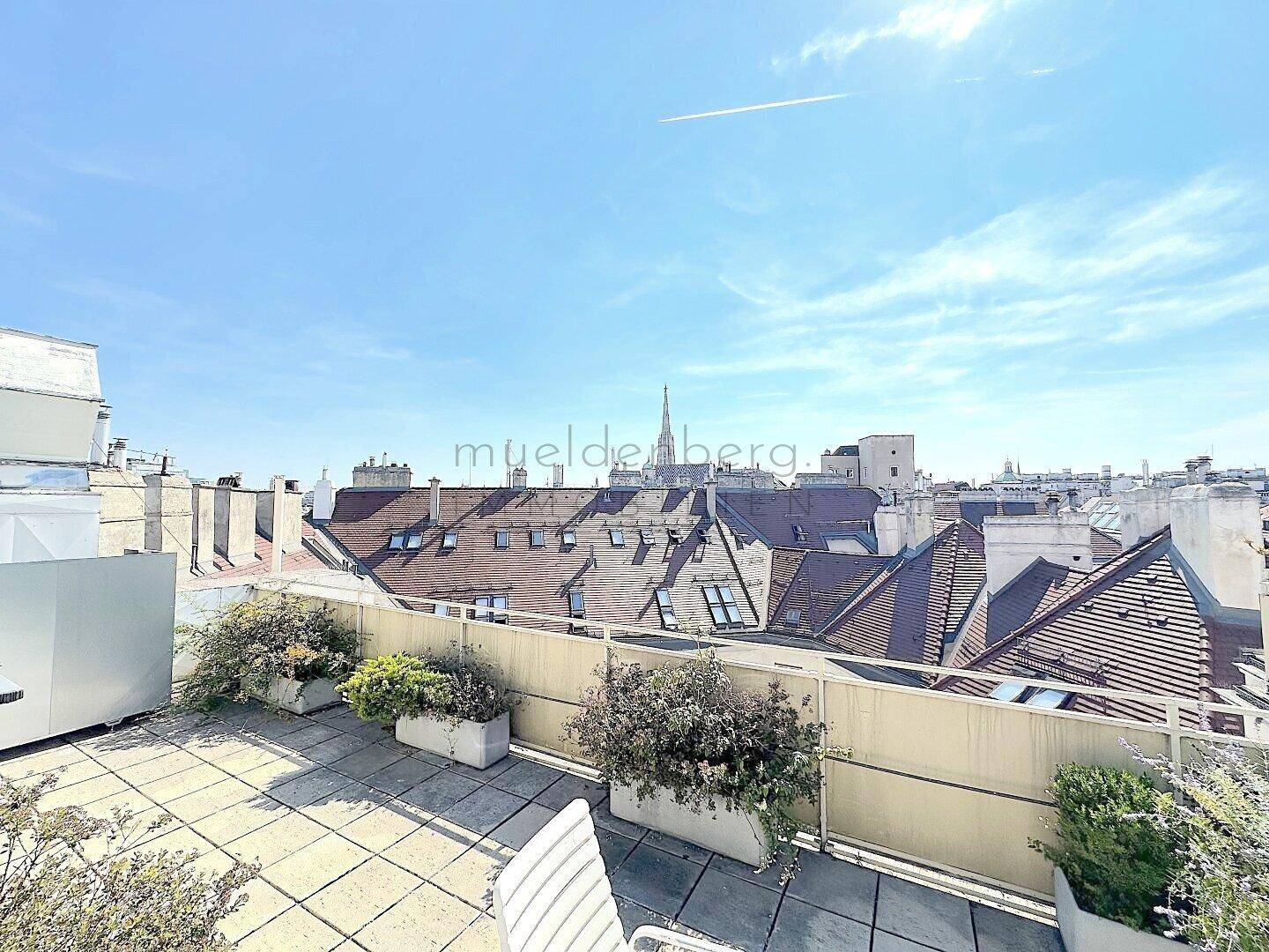 Ruhige Dachterrasse mit Bepflanzung und weitem Blick über die historischen Dächer der Stadt.